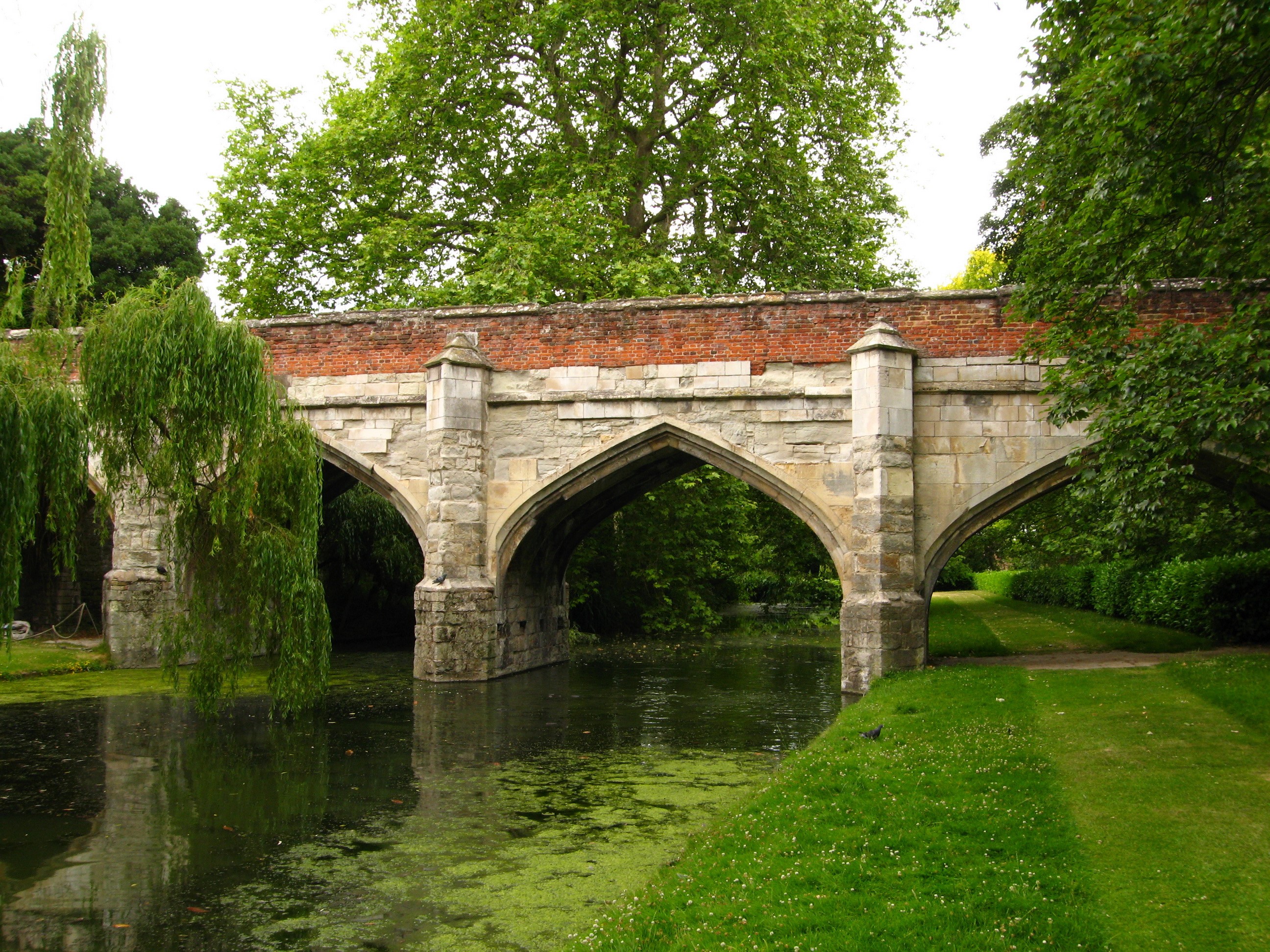Stone bridge over a pond with weeping willow trees HD Wallpaper
