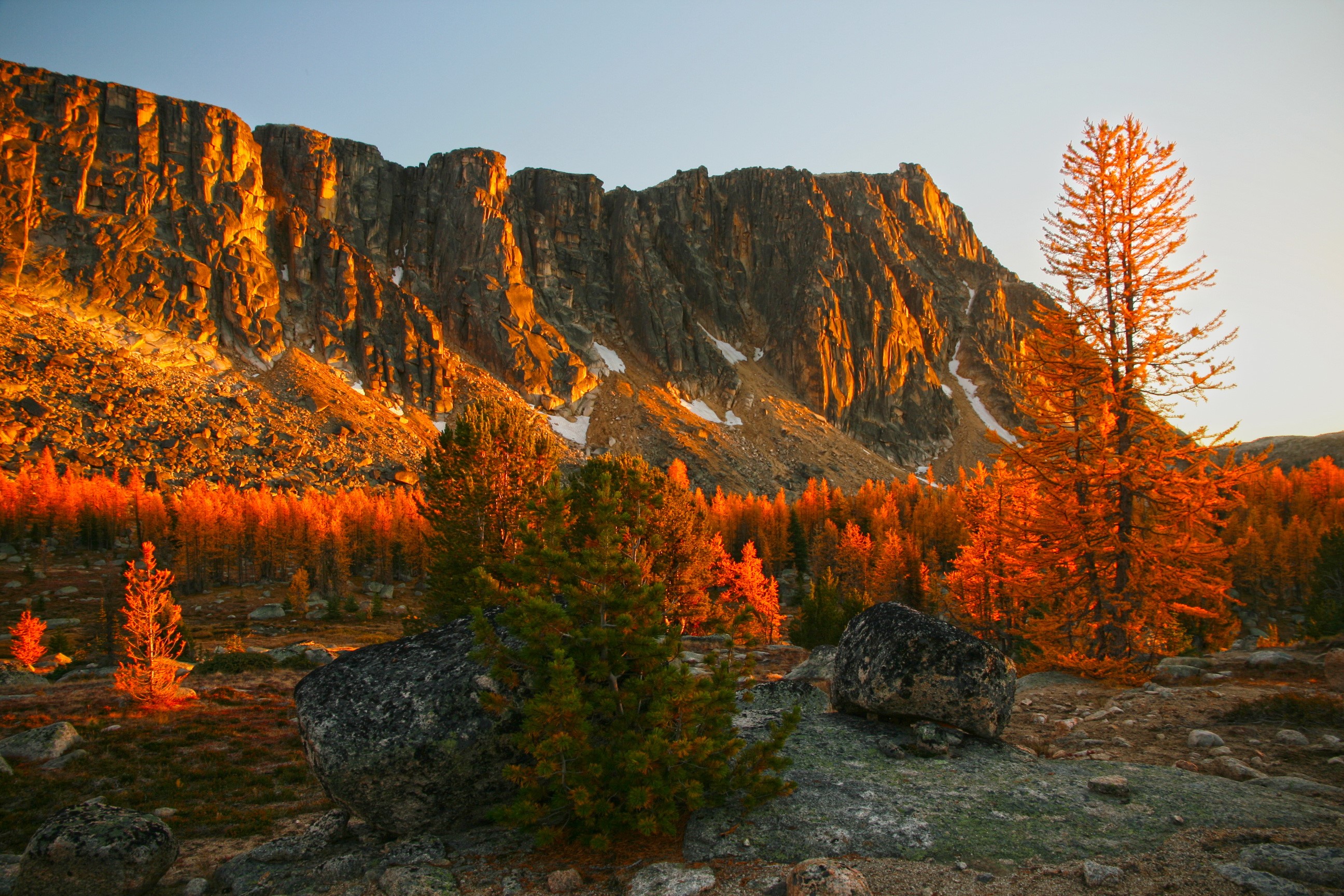 Golden Mountain Range with Autumn Trees HD Wallpaper