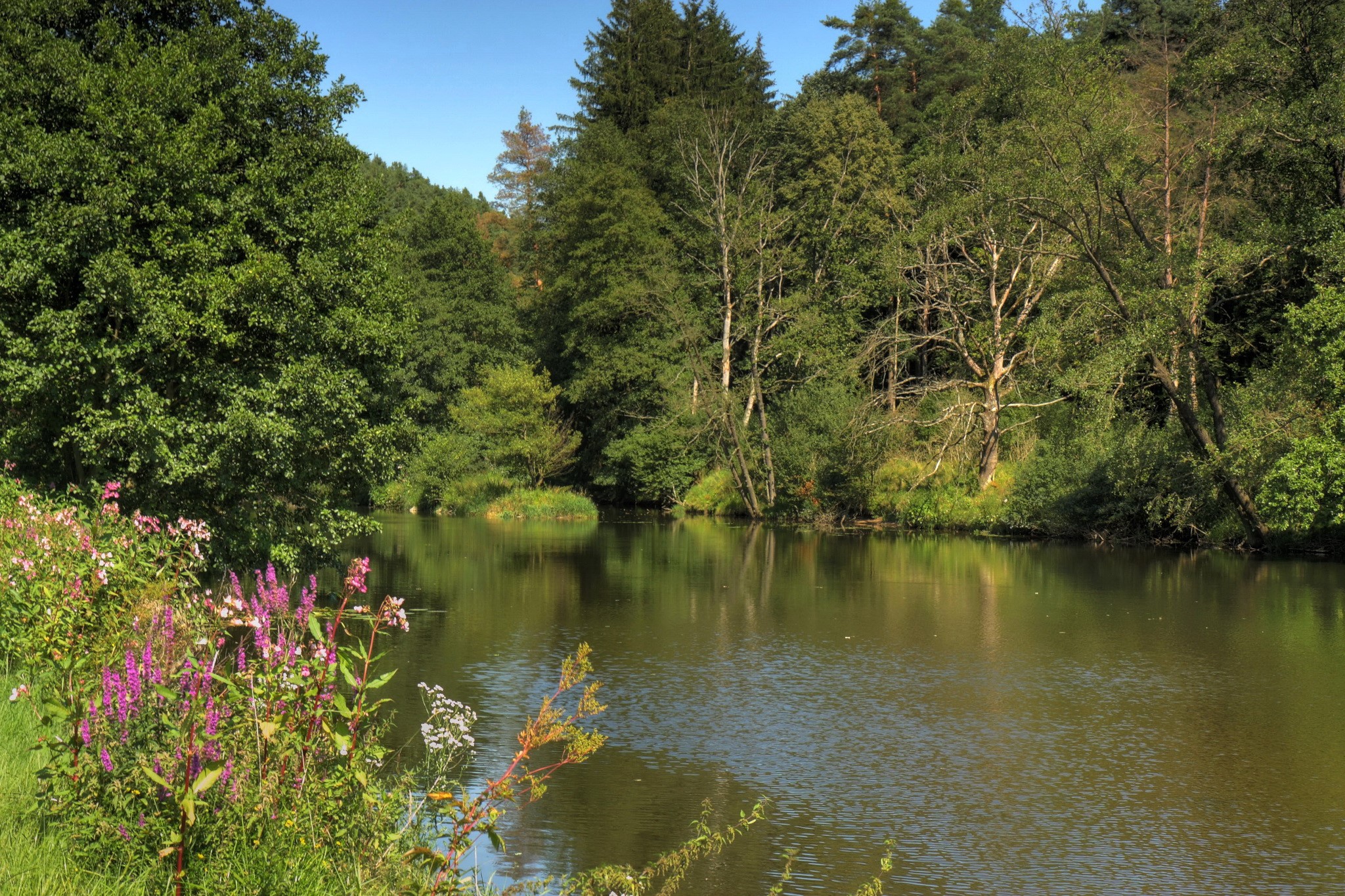 River in Bavaria, Germany with trees and flowers HD Wallpaper
