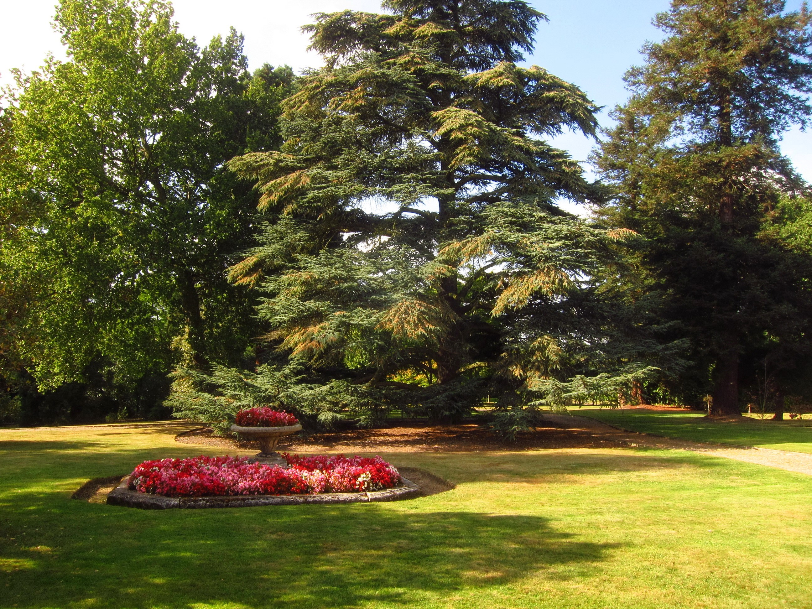 Beale Arboretum Barnet Gardens England Lawn HD Wallpaper