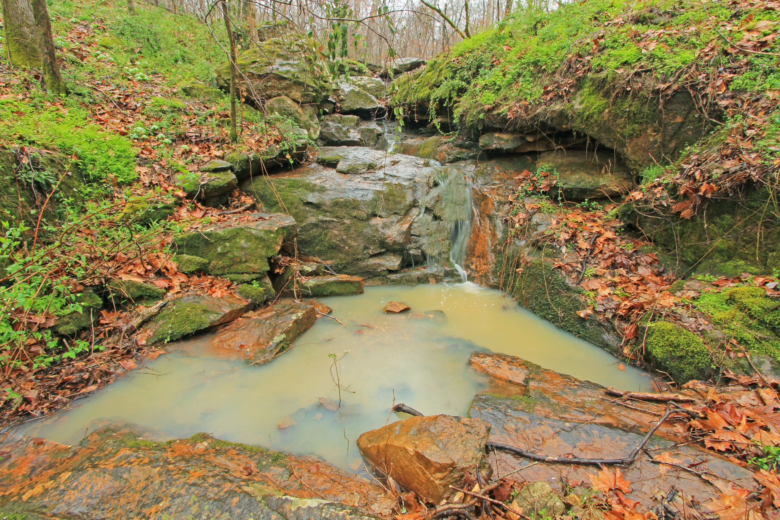 Waterfall in Pisgah National Forest with Stones and Foliage HD Wallpaper