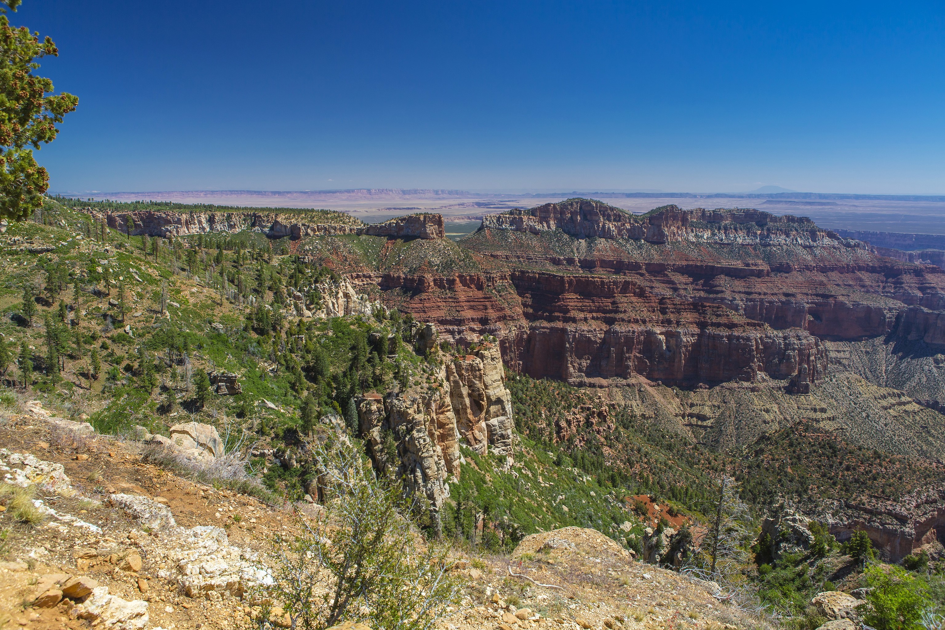 Grand Canyon National Park, Arizona, USA HD Wallpaper