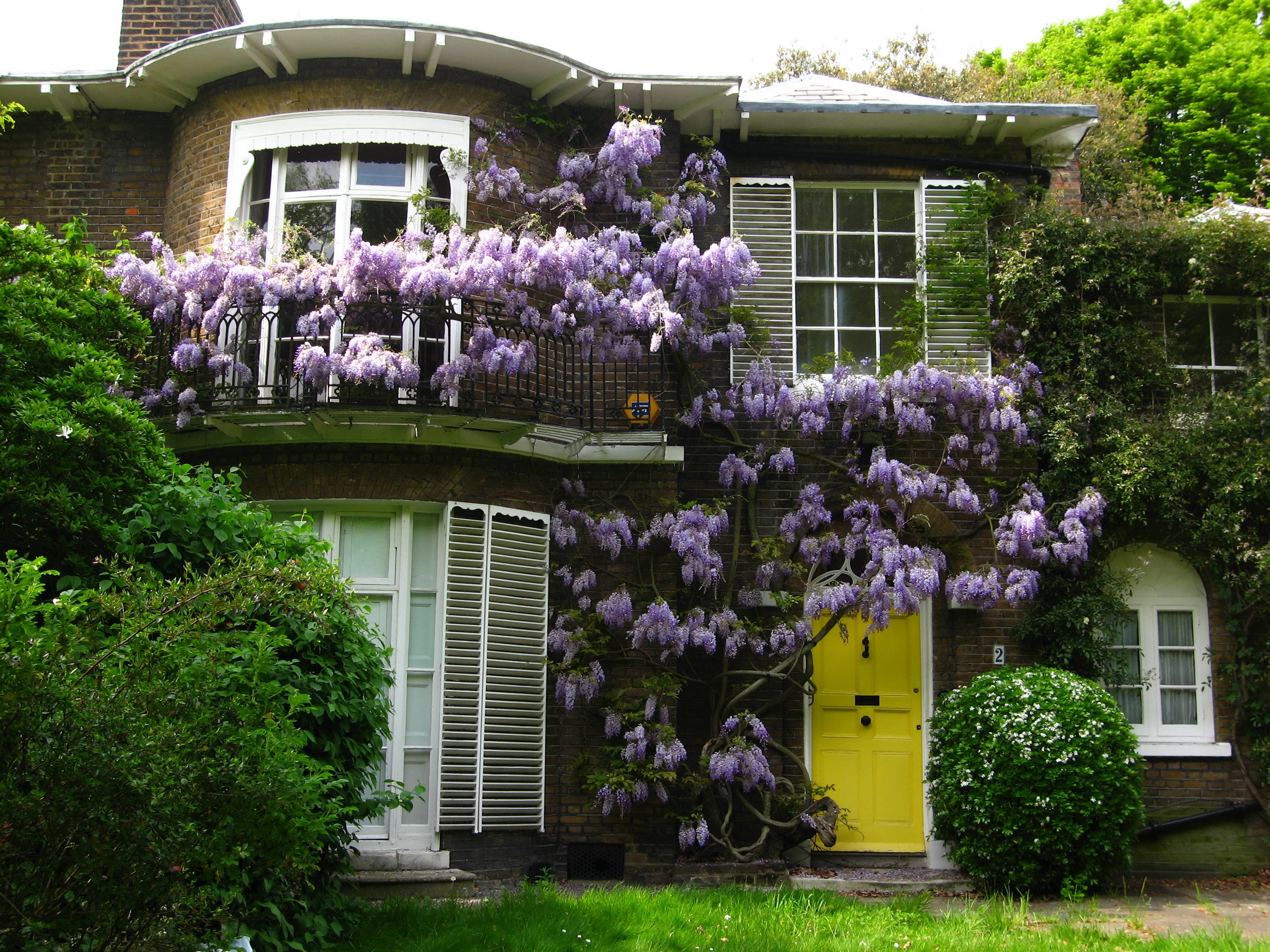 Brick house with wisteria and yellow door in Hampstead, England HD Wallpaper