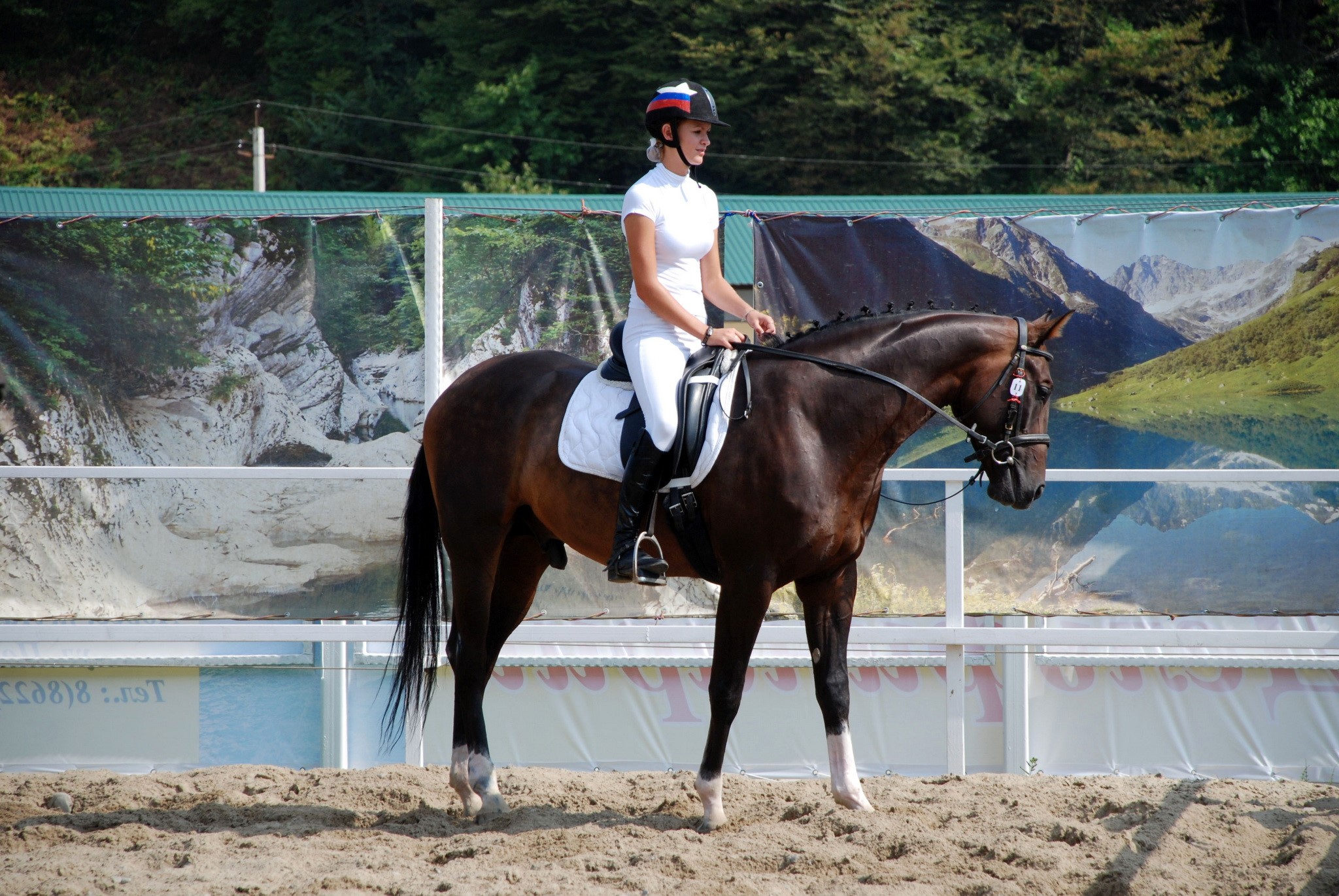 Woman riding a horse in an equestrian sport HD Wallpaper