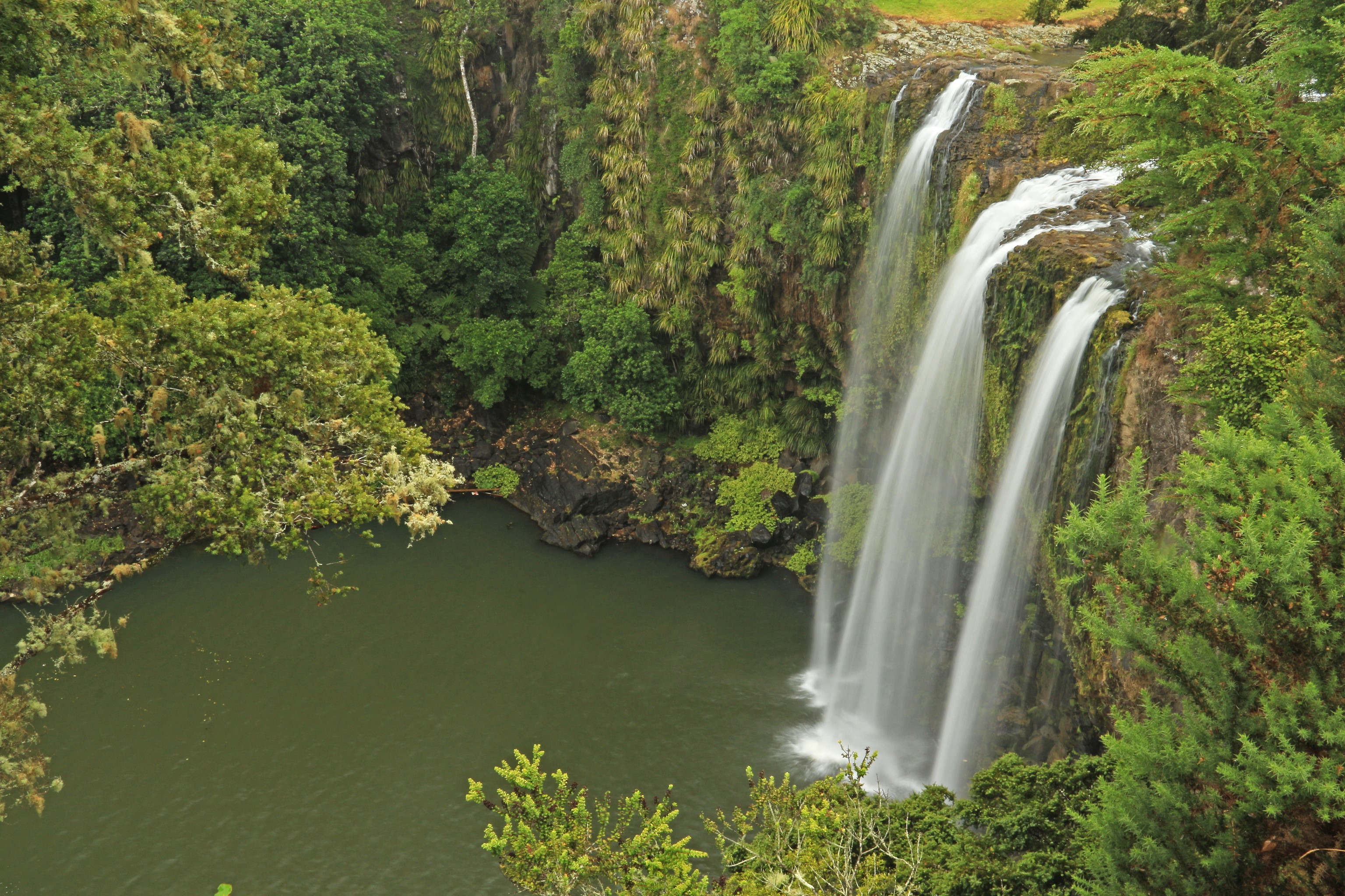 Whangarei Falls on Hatea River, New Zealand HD Wallpaper