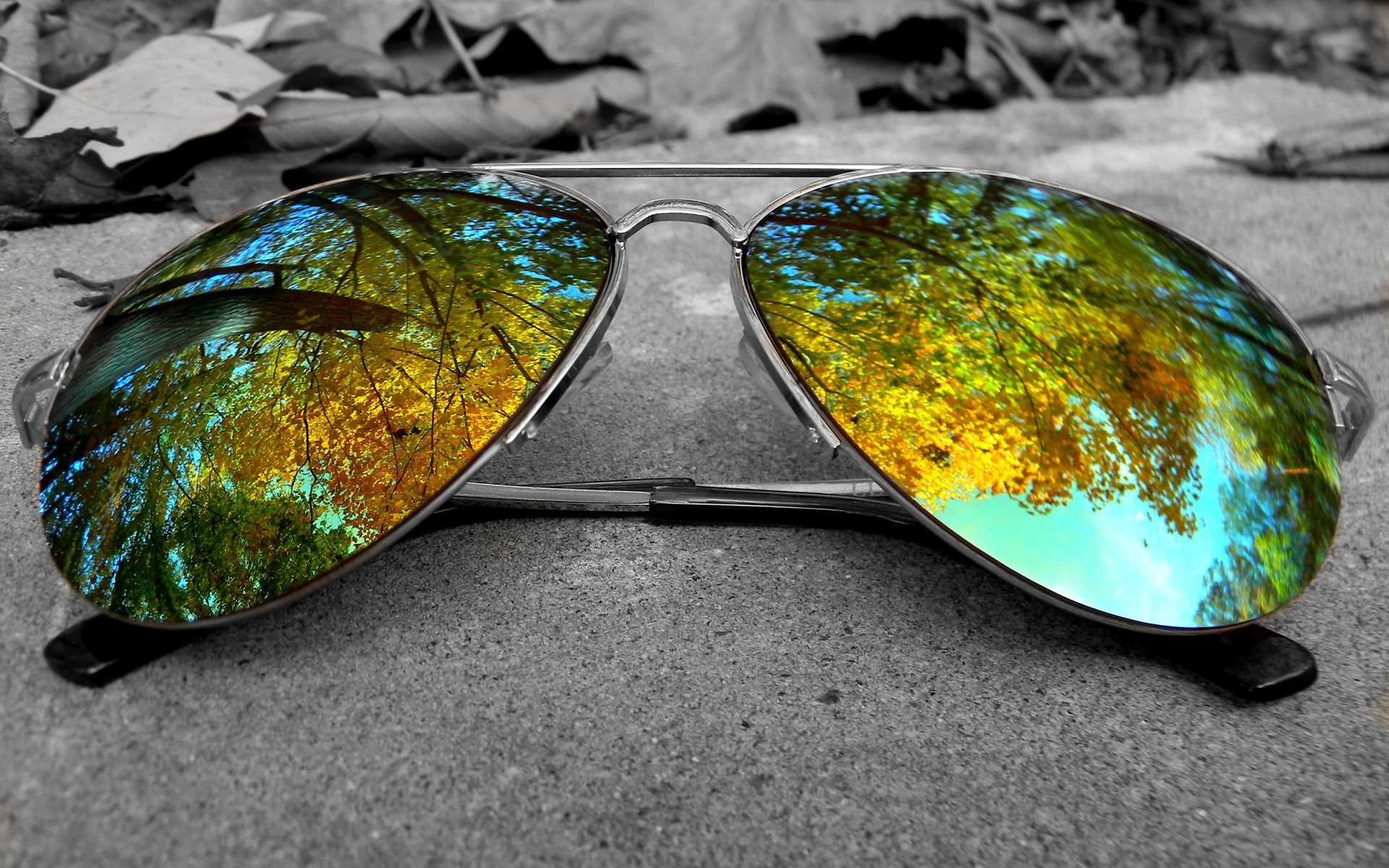 Aviator sunglasses reflecting autumn trees HD Wallpaper