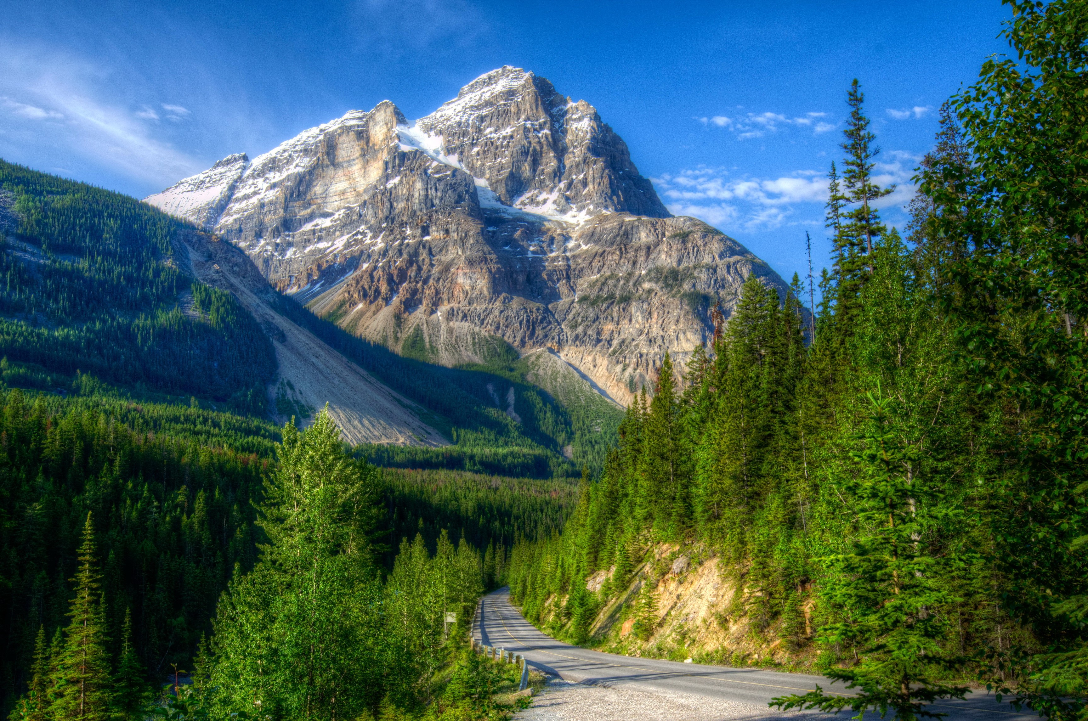 Mountain road through forest in Yoho National Park, Canada HD Wallpaper