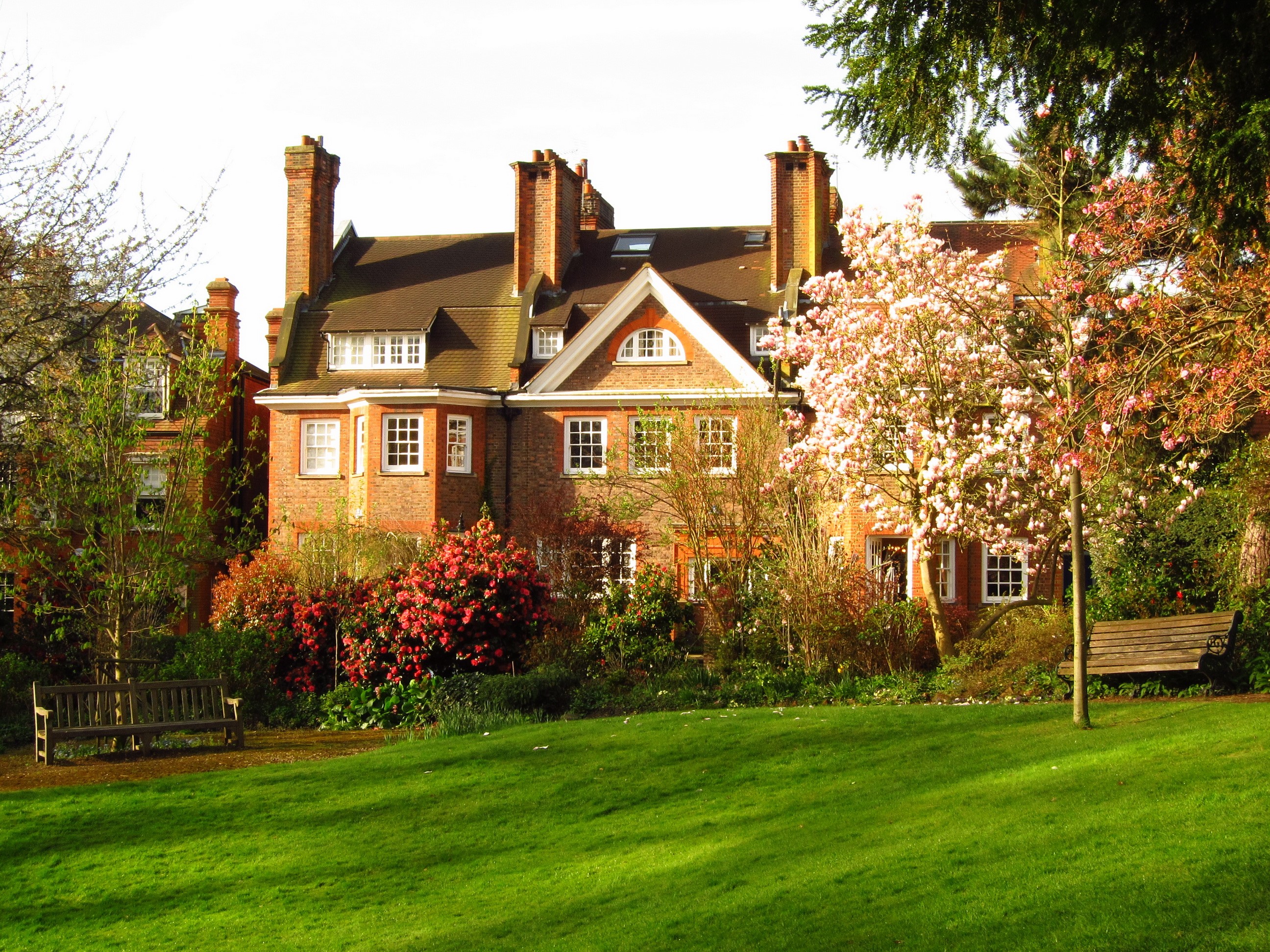 Brick houses with blooming trees and park benches HD Wallpaper