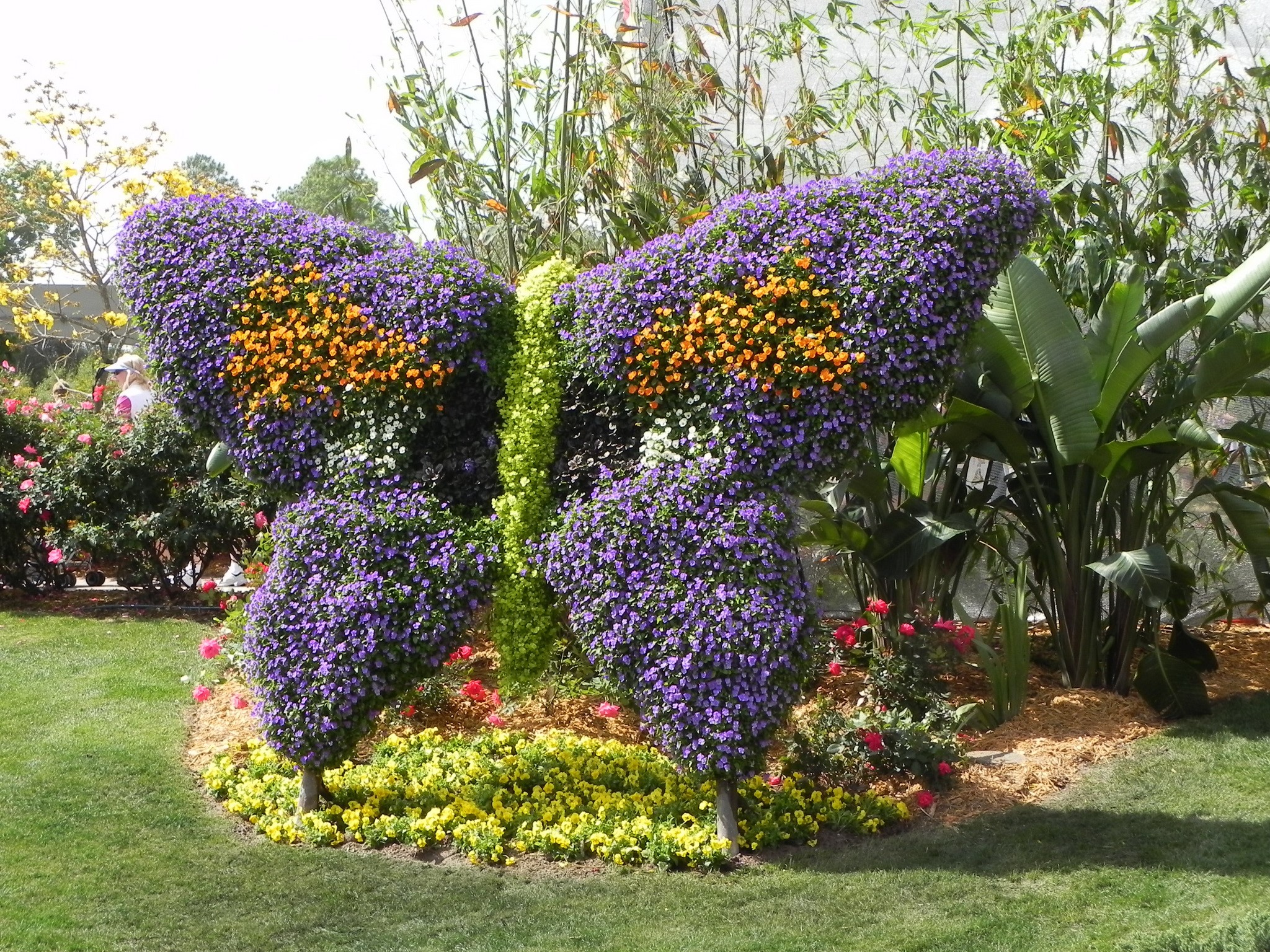 Butterfly topiary at Epcot International Flower and Garden Festival HD Wallpaper