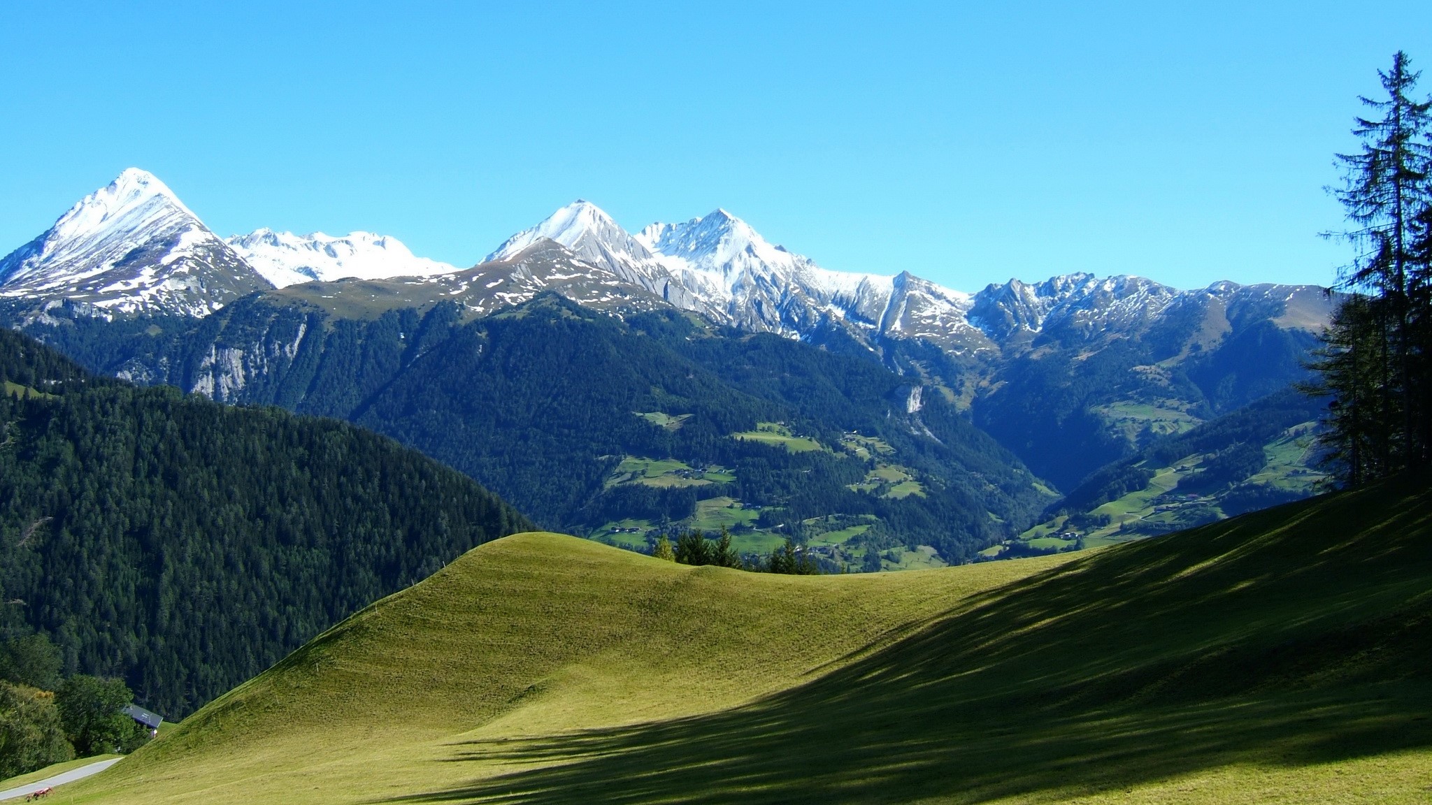 Snow-capped mountains and green hills in Austria HD Wallpaper