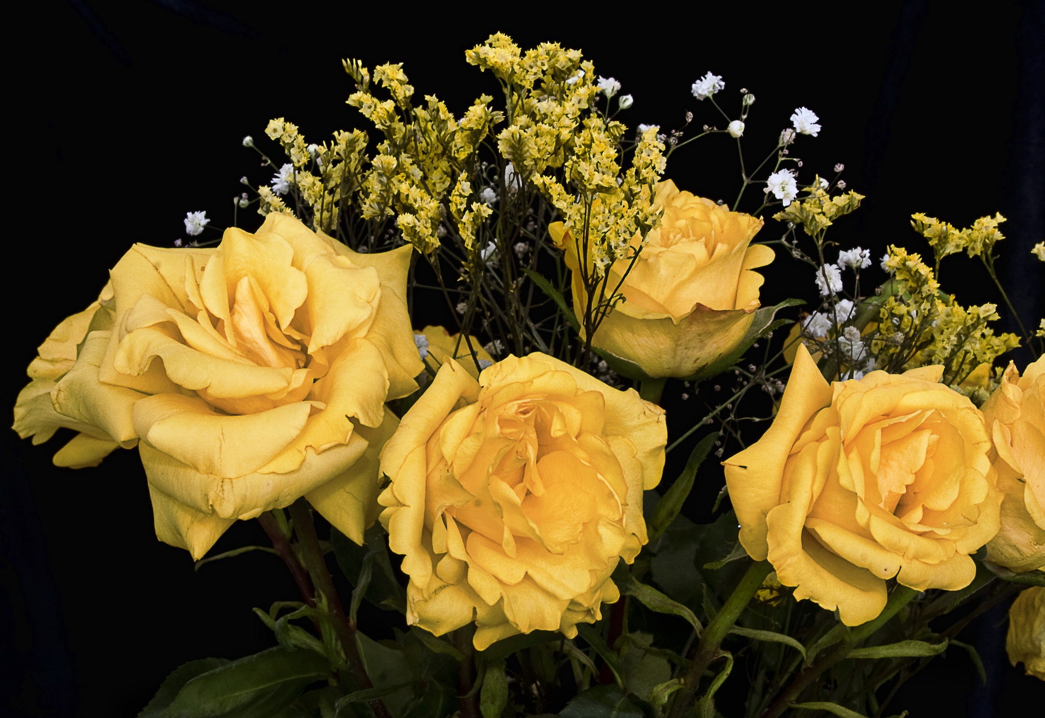 Yellow roses with small yellow and white flowers HD Wallpaper