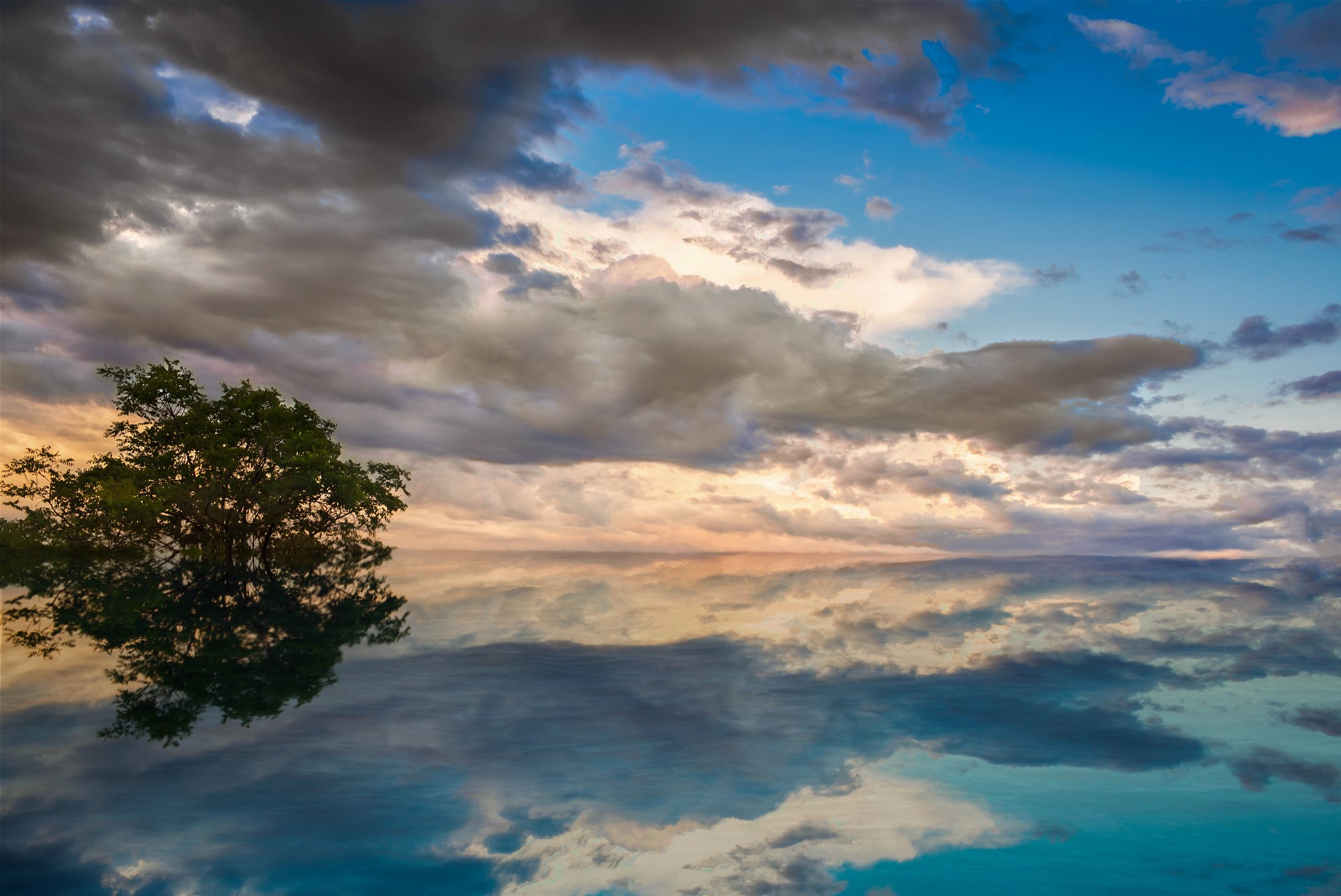 Tree reflected in a lake under a cloudy sky HD Wallpaper