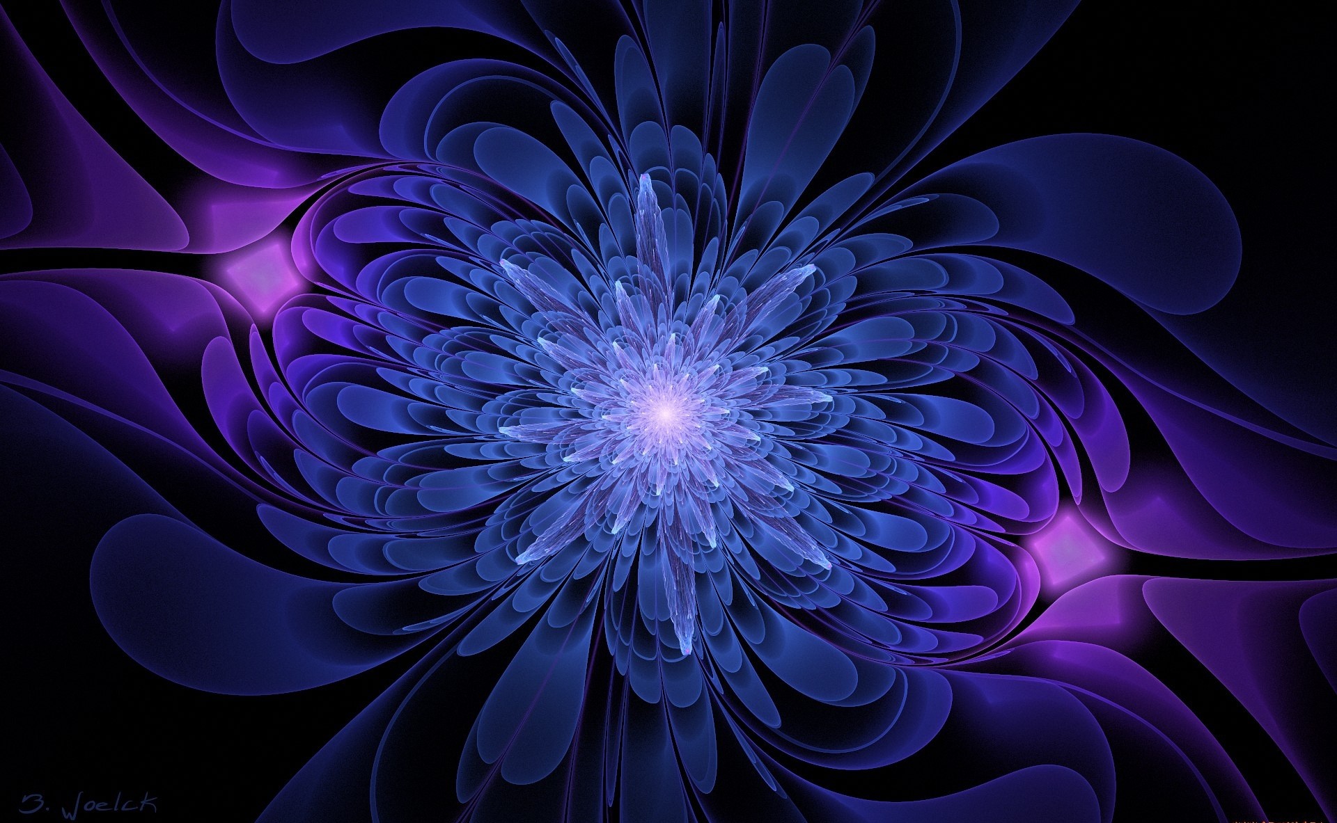 Abstract fractal flower with blue and purple petals HD Wallpaper