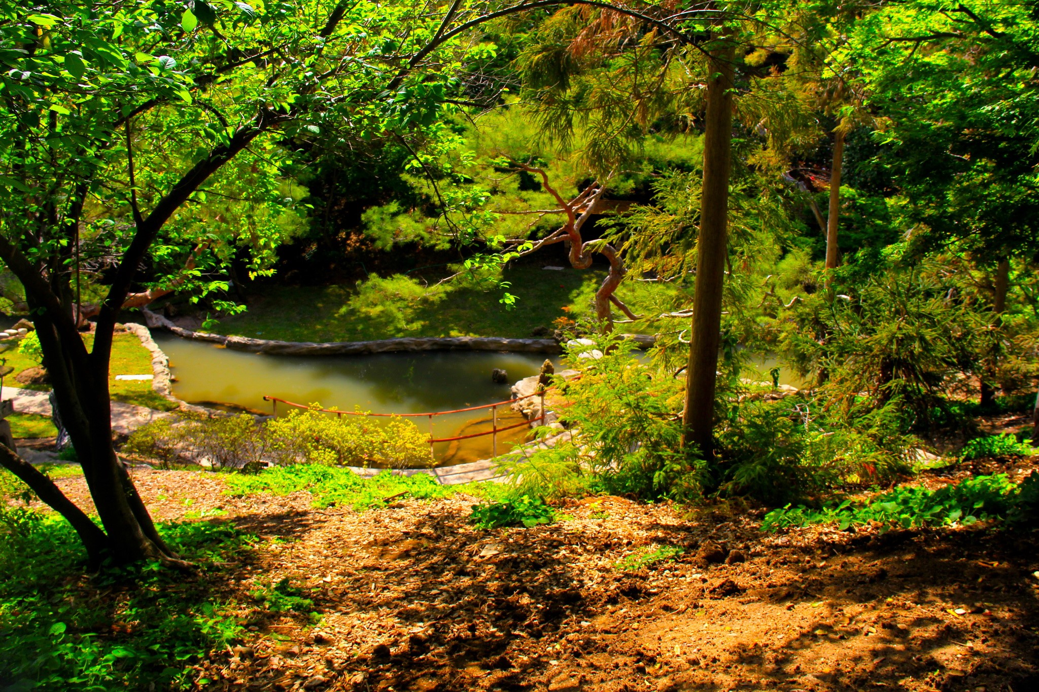 Japanese Garden with Pond and Trees HD Wallpaper