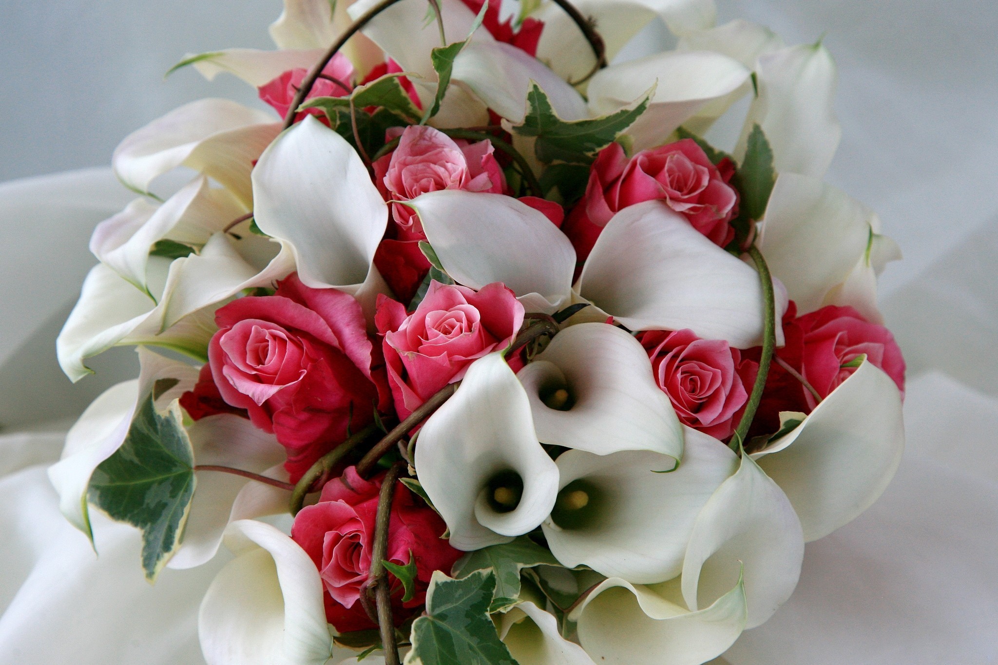 Pink Roses and White Calla Lilies Bouquet HD Wallpaper