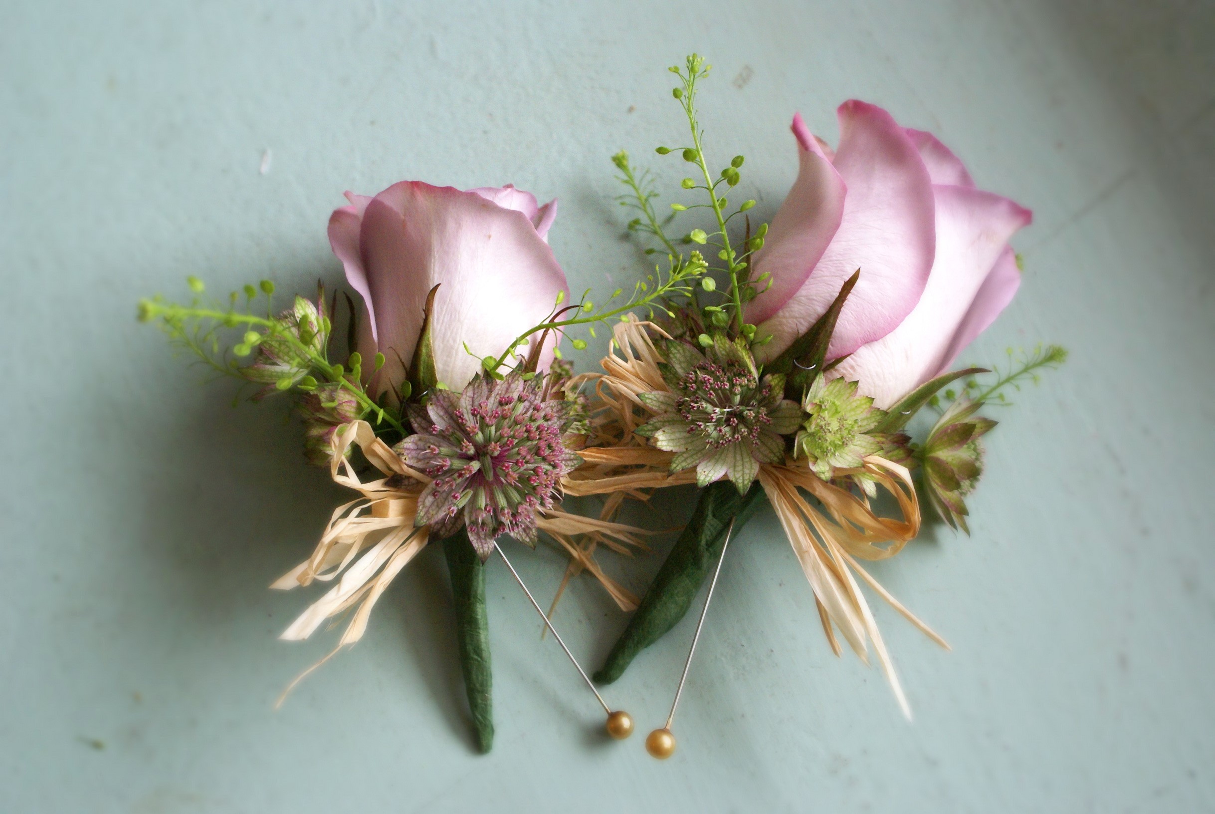 Two Boutonnieres with Roses and Astrantia HD Wallpaper