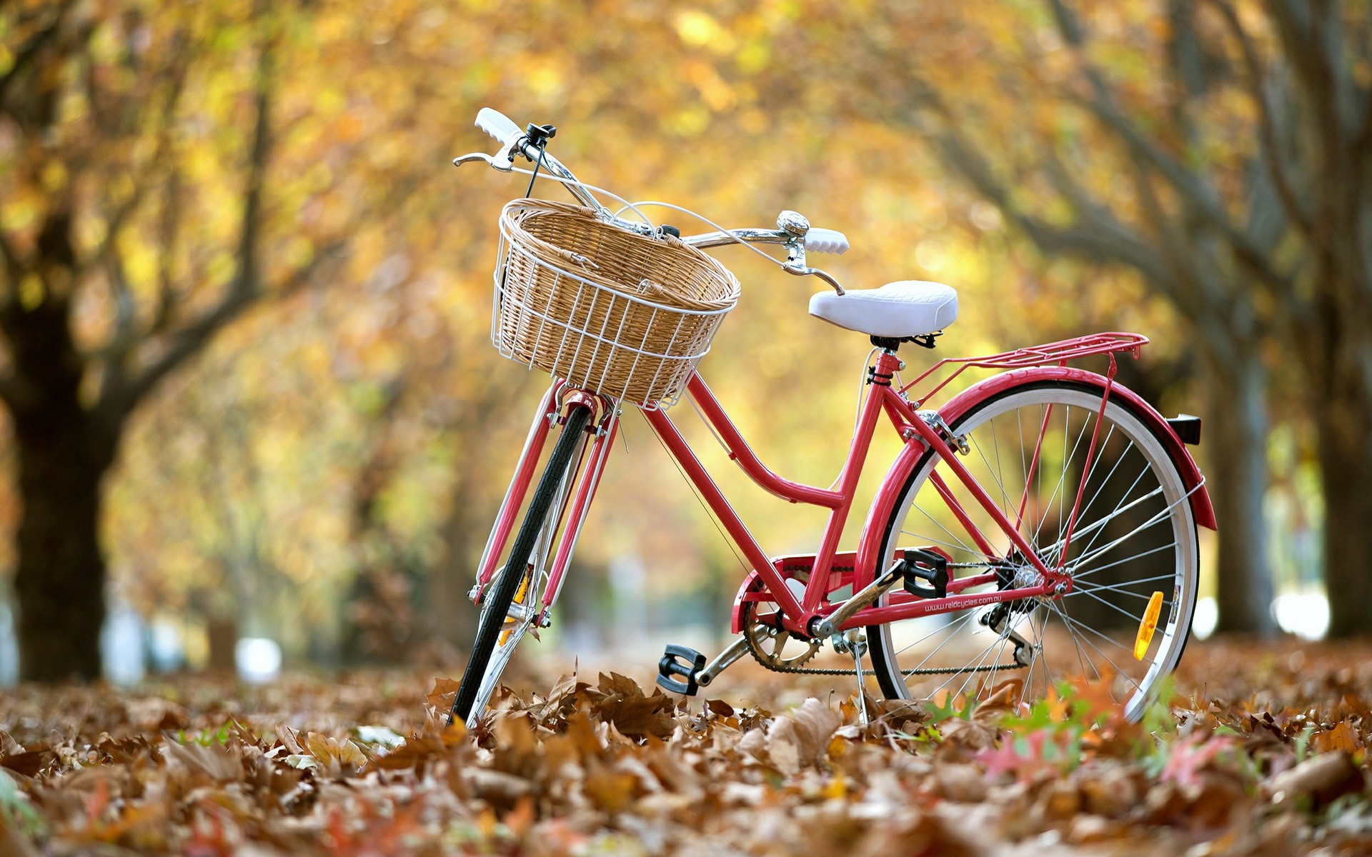Red bicycle with basket in autumn park HD Wallpaper