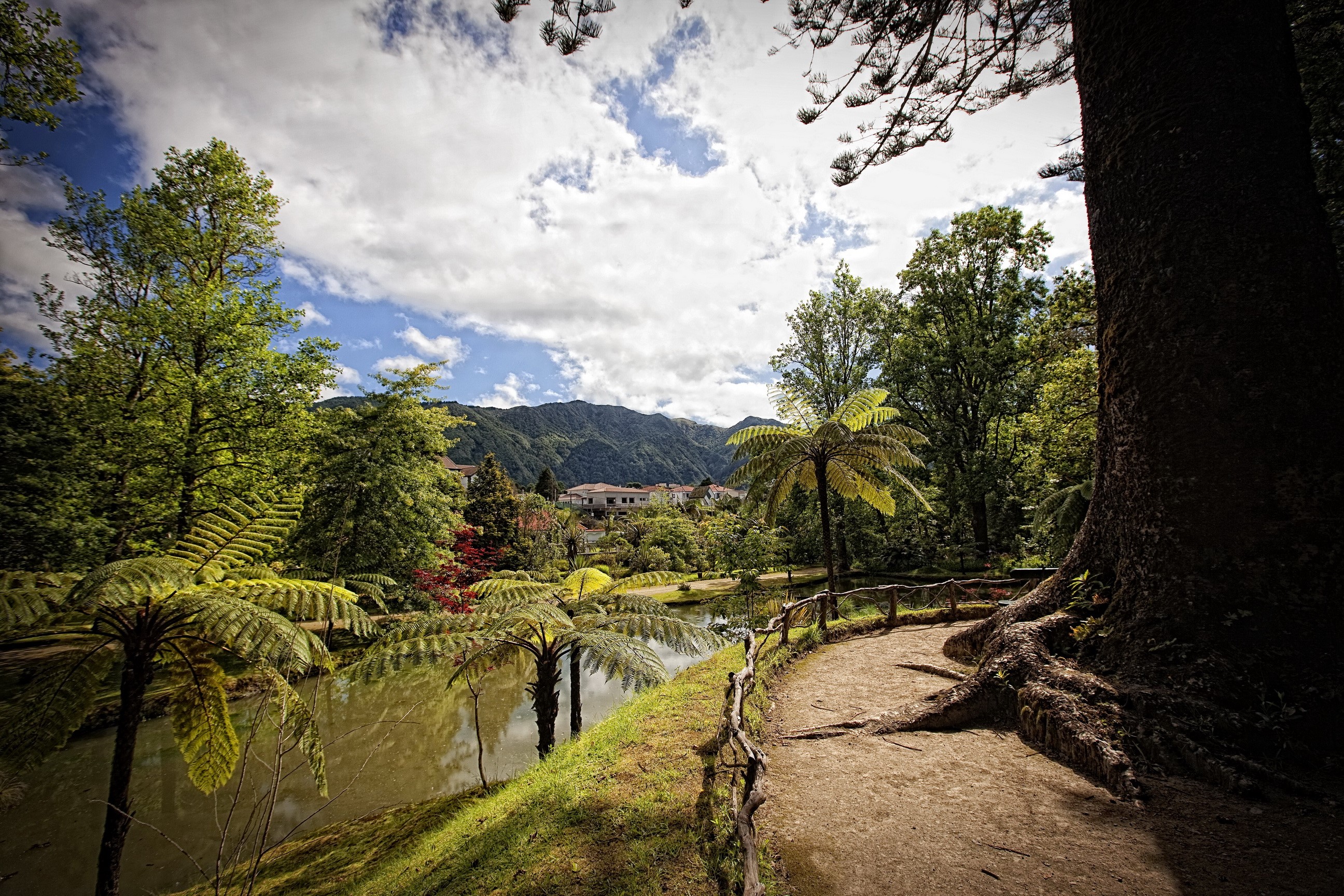 Park with a pond and mountains in the background HD Wallpaper