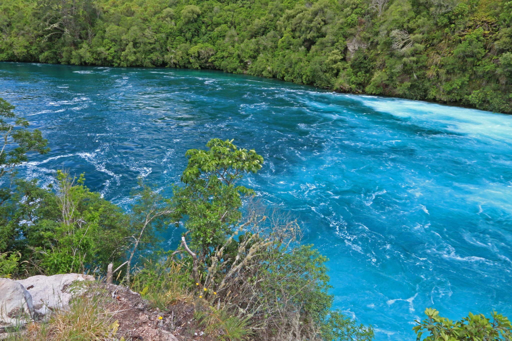 Waikato River, New Zealand HD Wallpaper