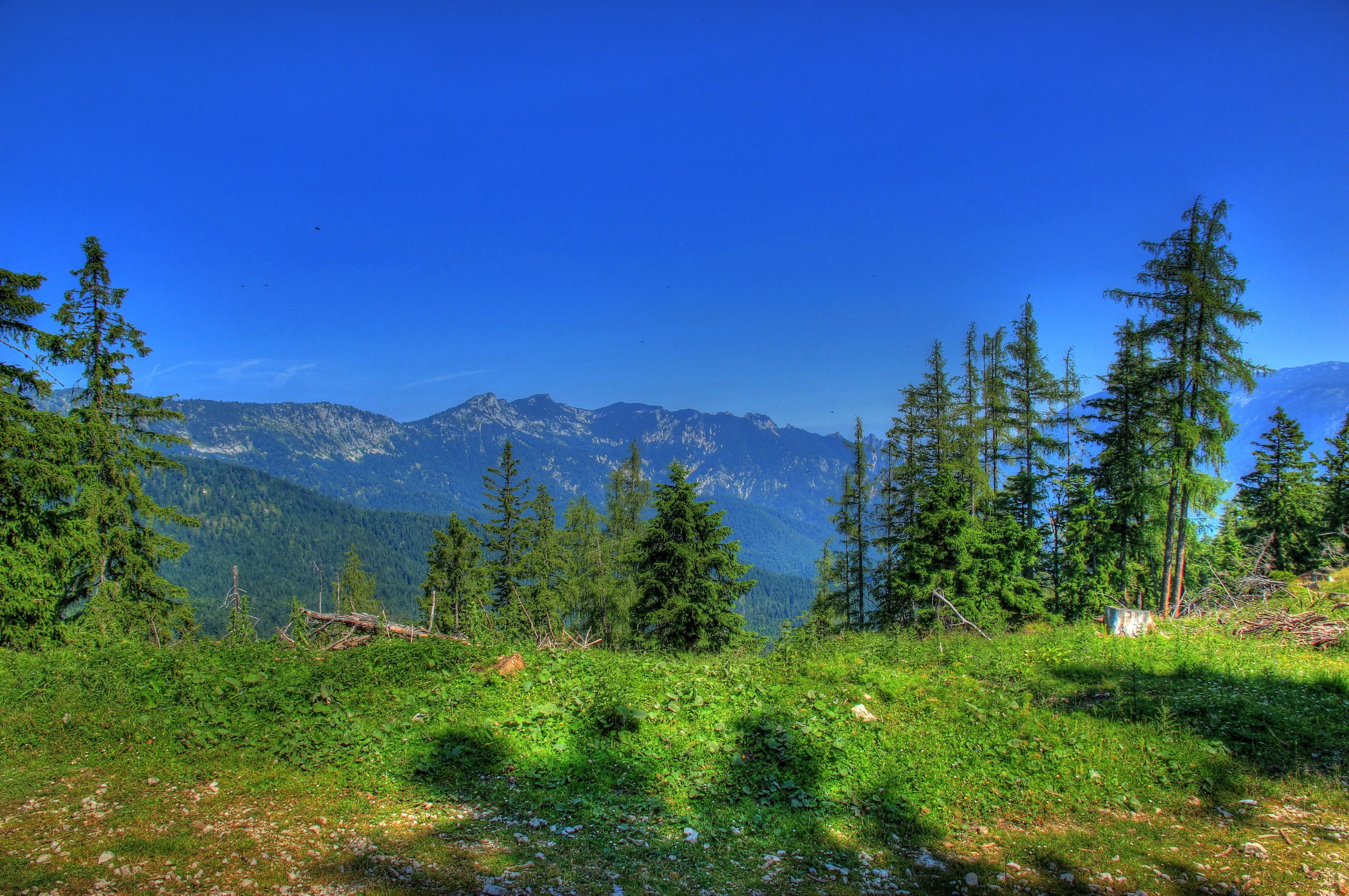 Mountain landscape with trees in Bavaria, Germany HD Wallpaper
