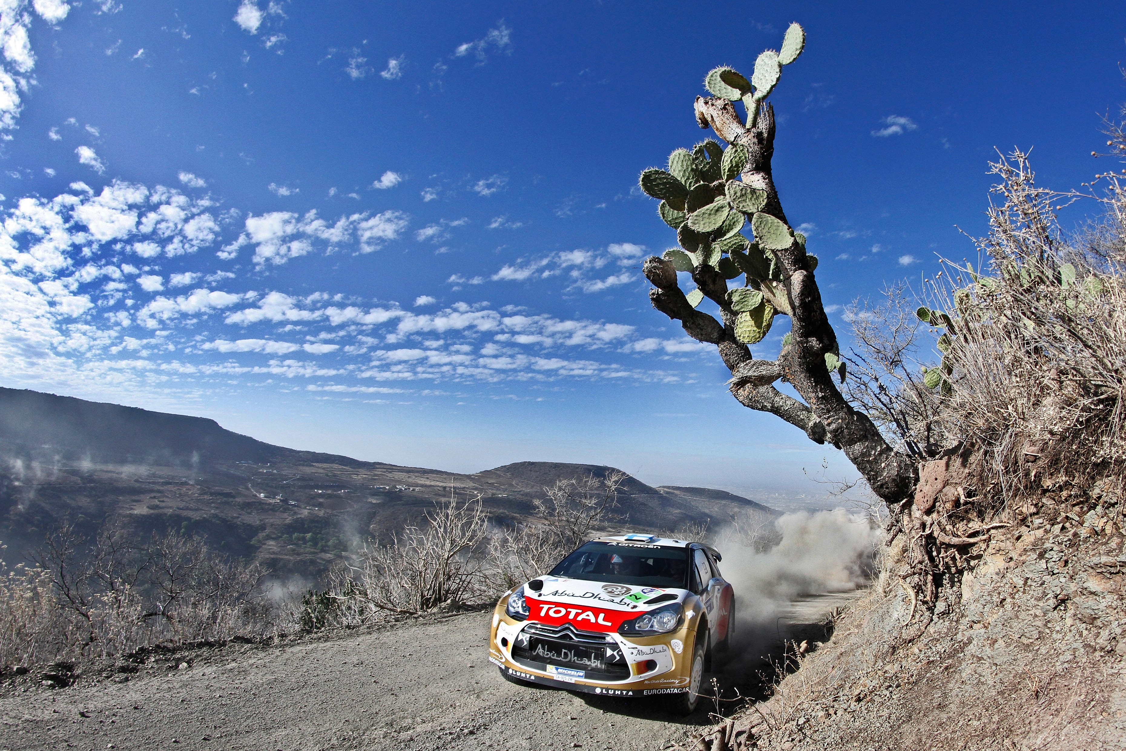 Citroen DS3 WRC car on a dusty road with cactuses HD Wallpaper