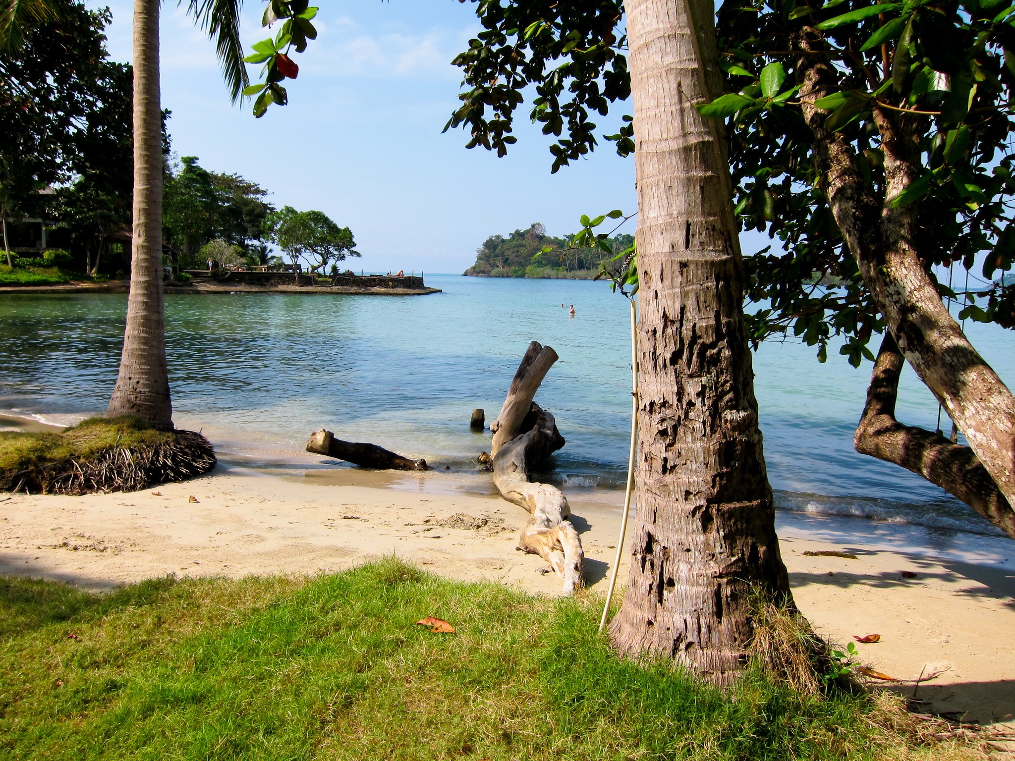 Beach scene with palm trees and ocean in Thailand HD Wallpaper