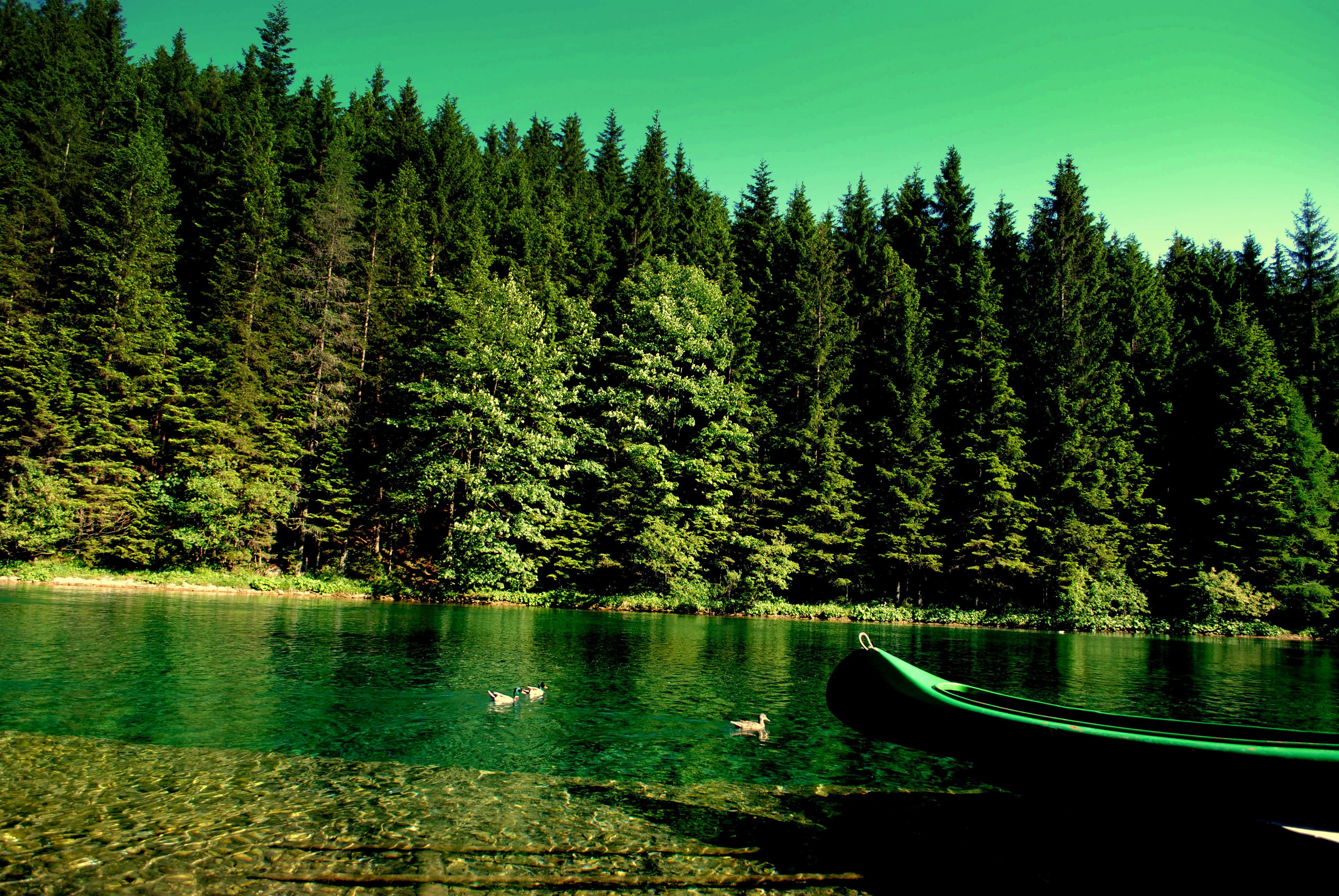 Green canoe on a lake with a forest background HD Wallpaper