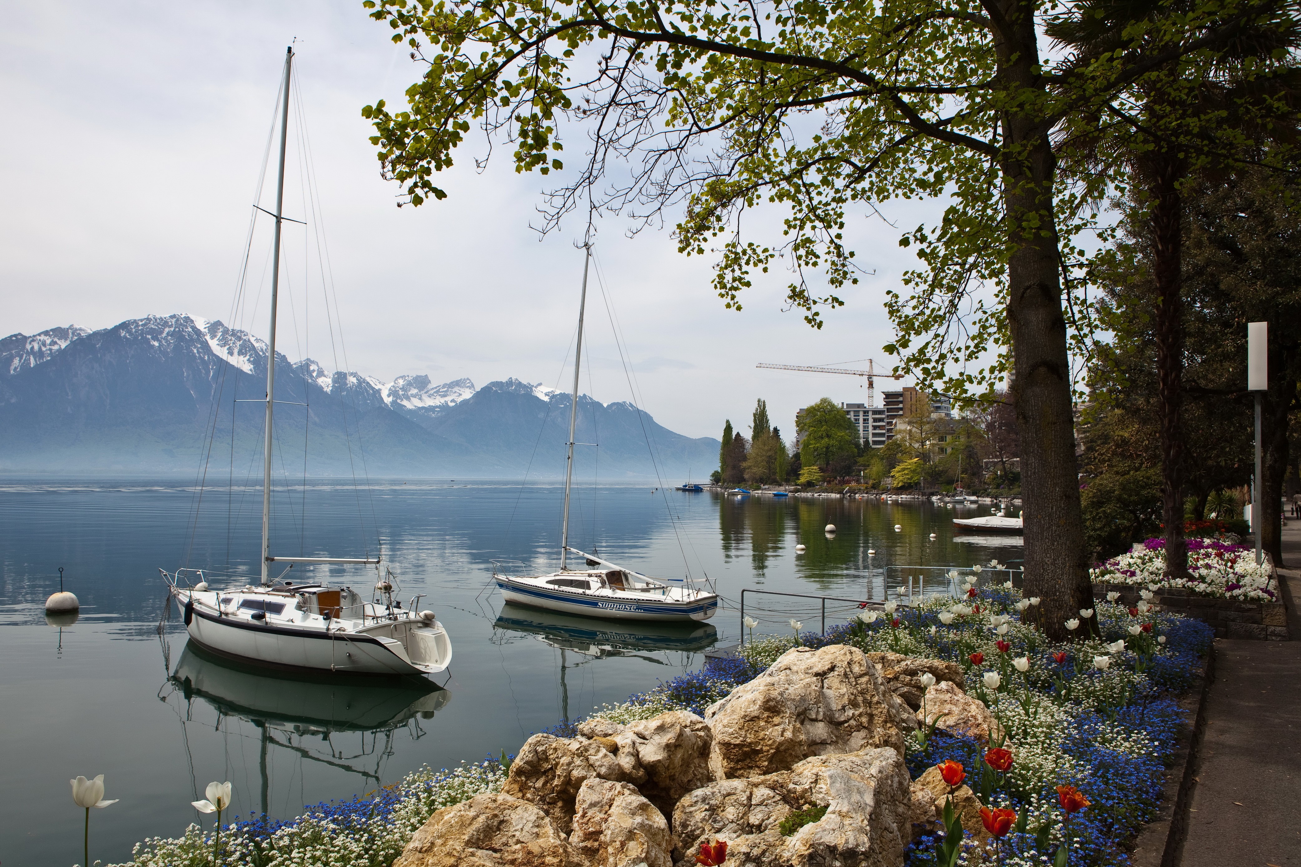 Sailboats on a lake with mountains in Montreux, Switzerland HD Wallpaper