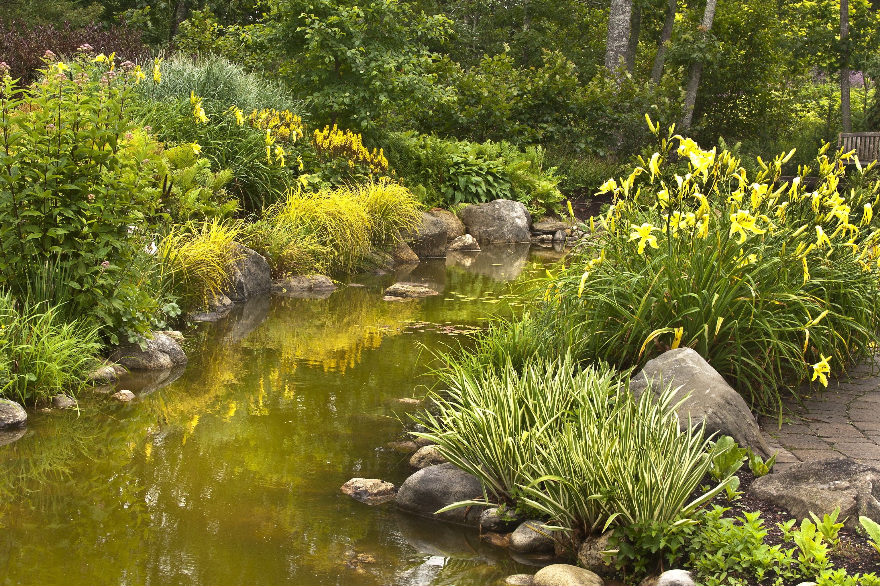 Garden pond with yellow flowers and stones HD Wallpaper