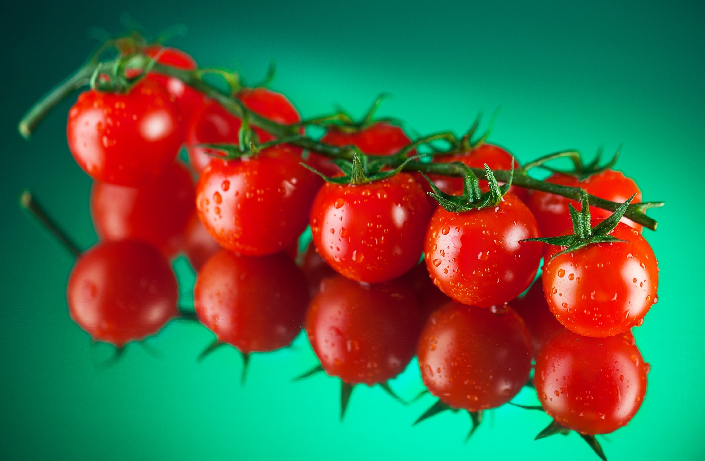 Cherry tomatoes on a vine with water drops HD Wallpaper
