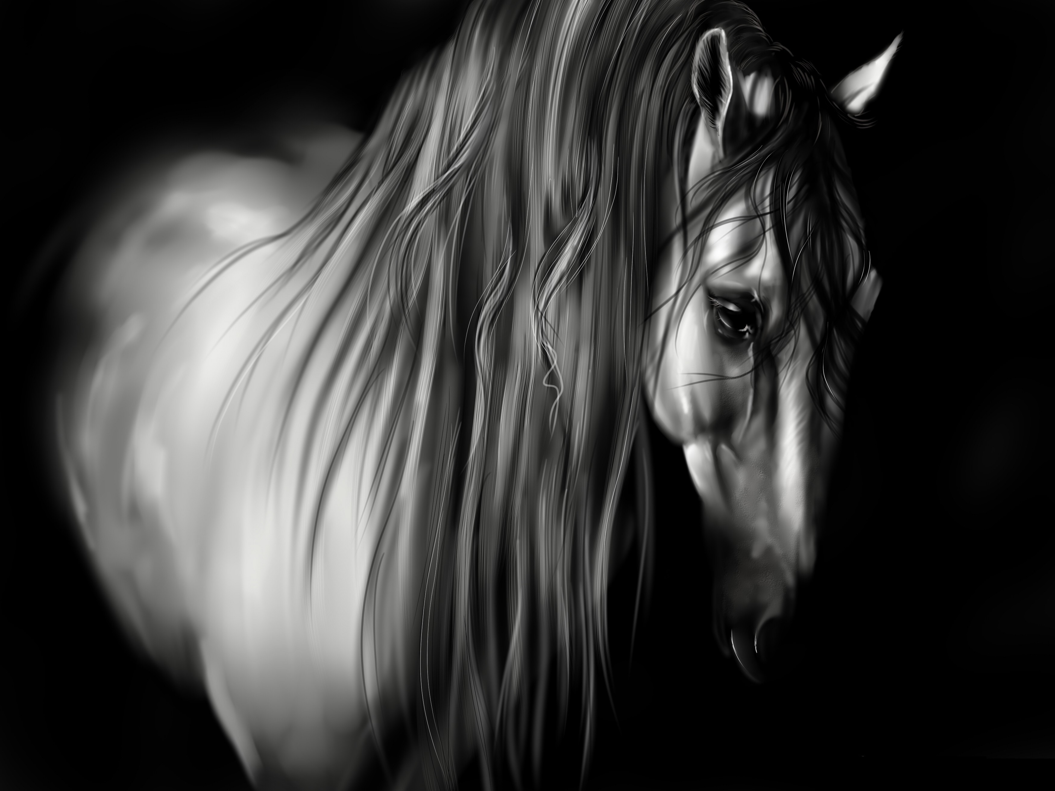 Black and white painting of a horse HD Wallpaper