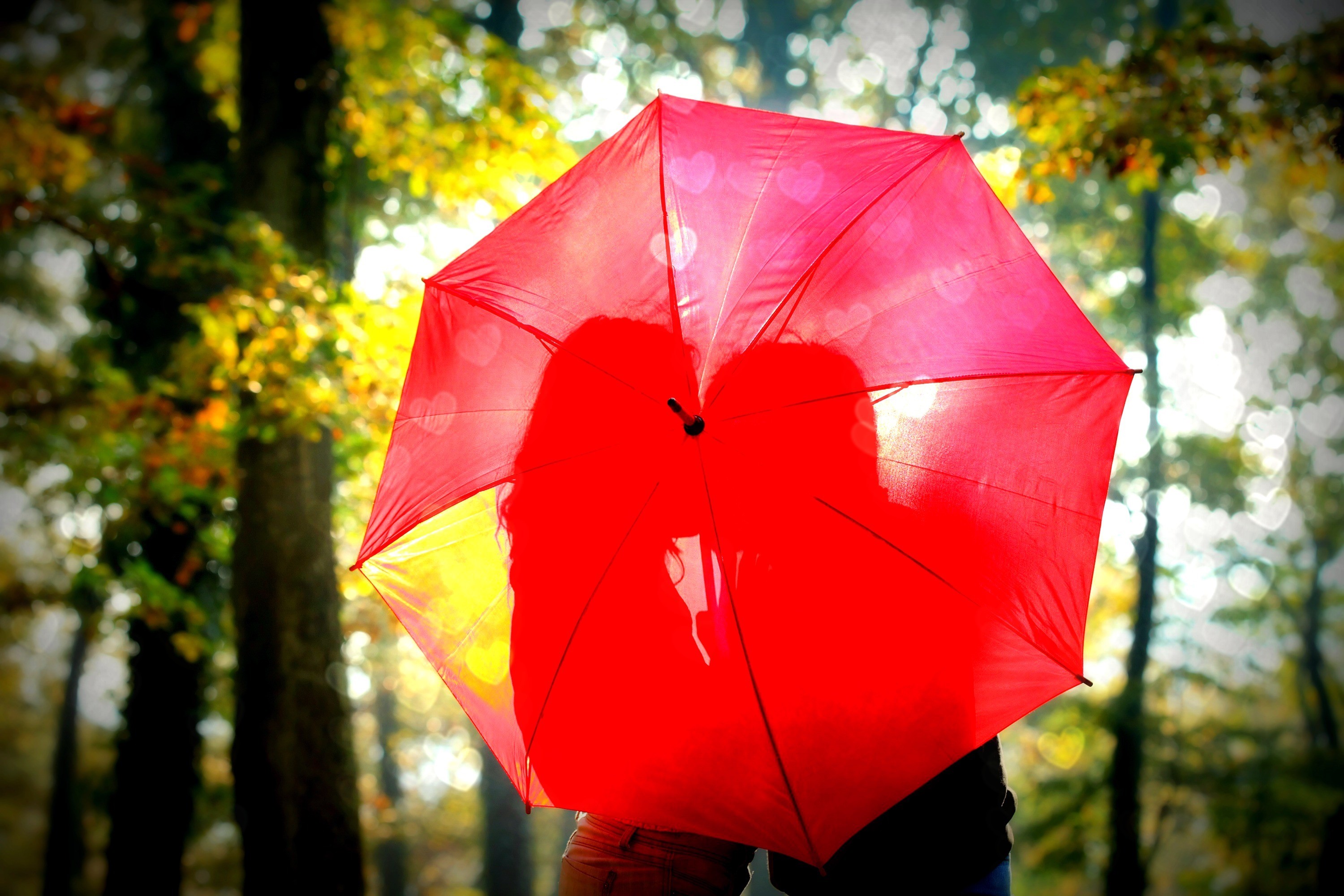 Couple kissing under a red umbrella HD Wallpaper