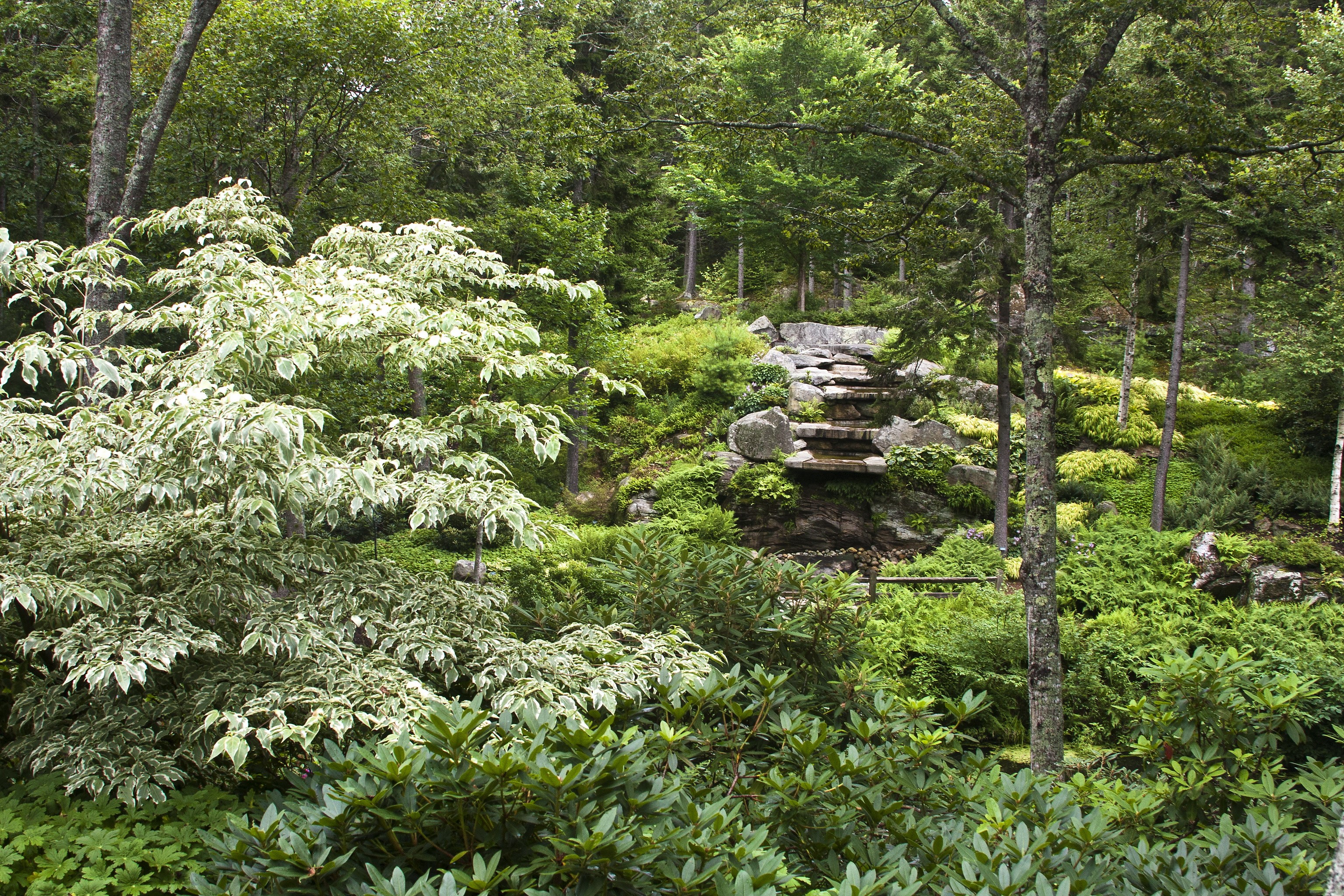A naturalistic garden with a rock waterfall and diverse greenery HD Wallpaper