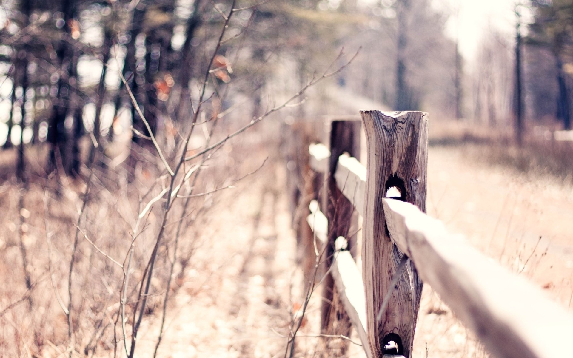 Wooden fence in a dry field with trees HD Wallpaper
