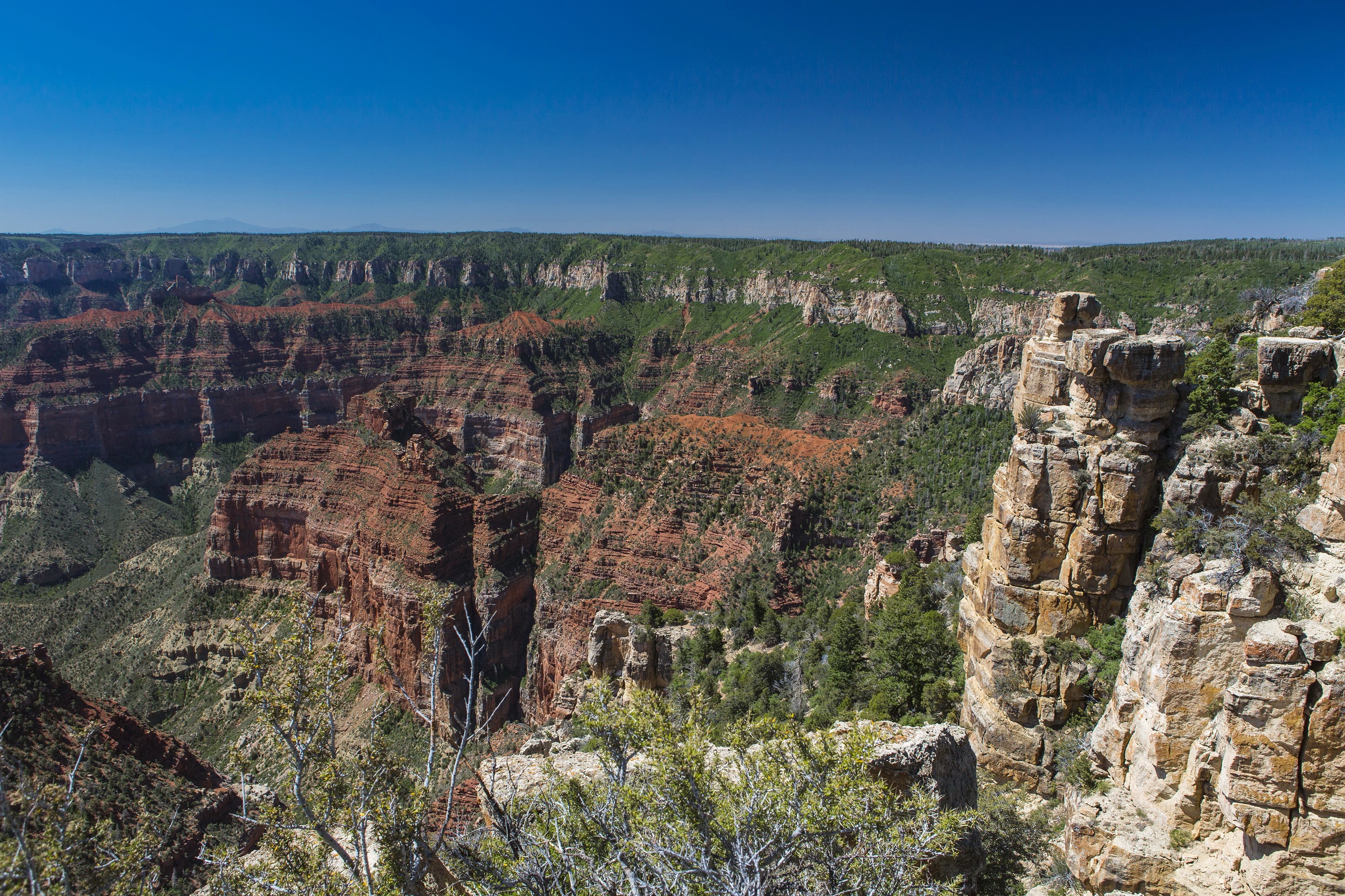 Grand Canyon National Park, Arizona, USA HD Wallpaper