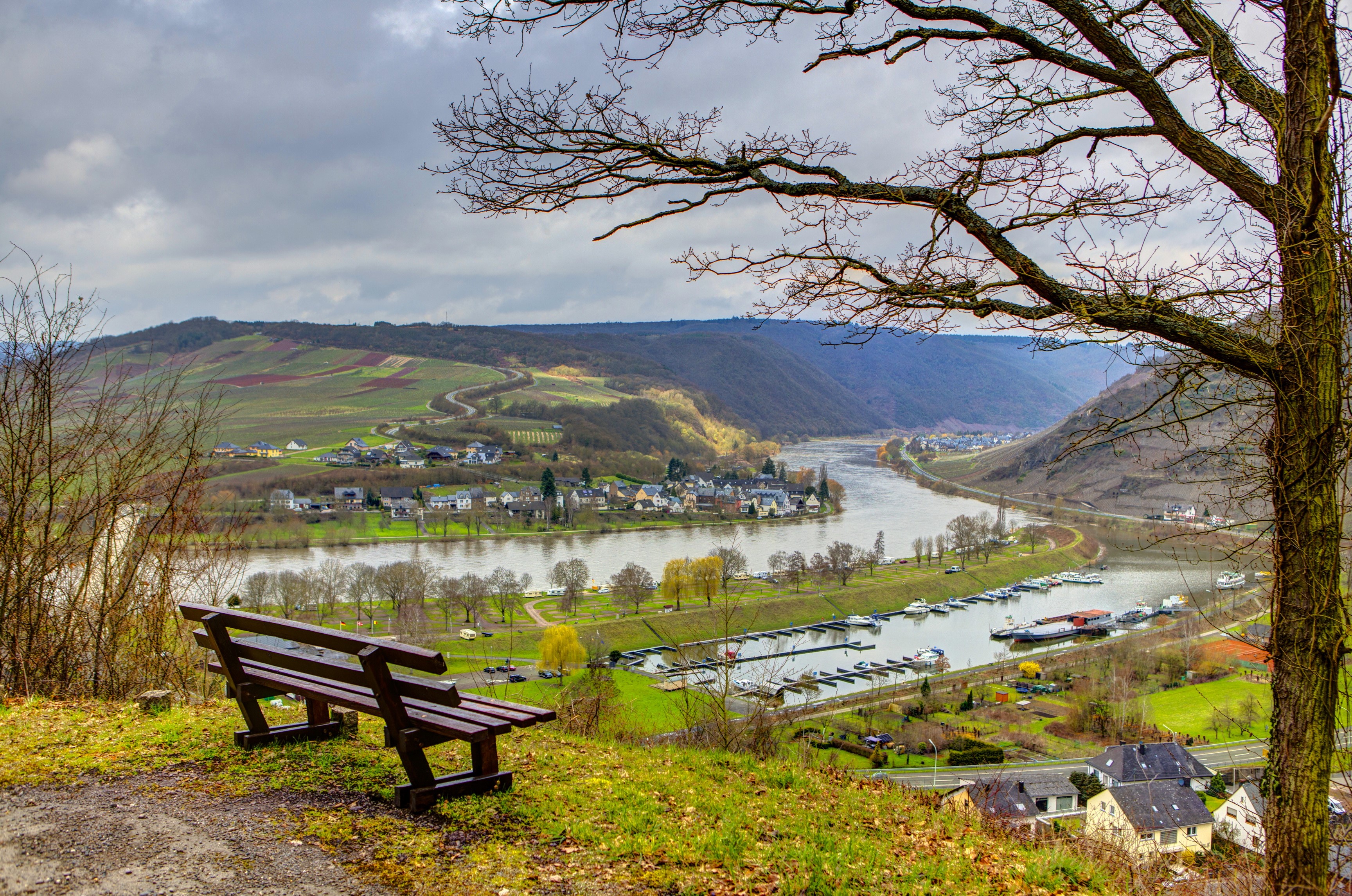 Bench overlooking Moselle River valley with vineyards in Senheim, Germany HD Wallpaper