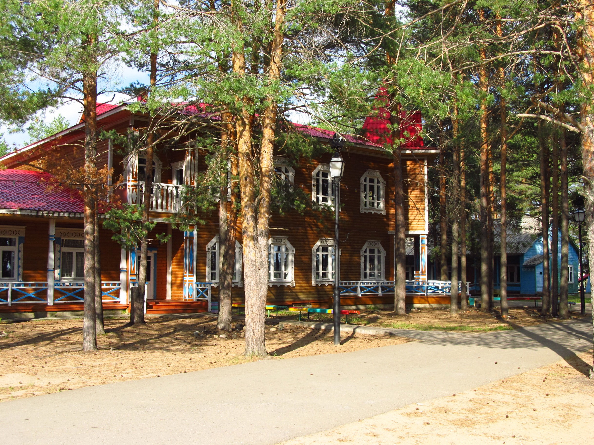 Wooden houses with red roofs surrounded by pine trees HD Wallpaper