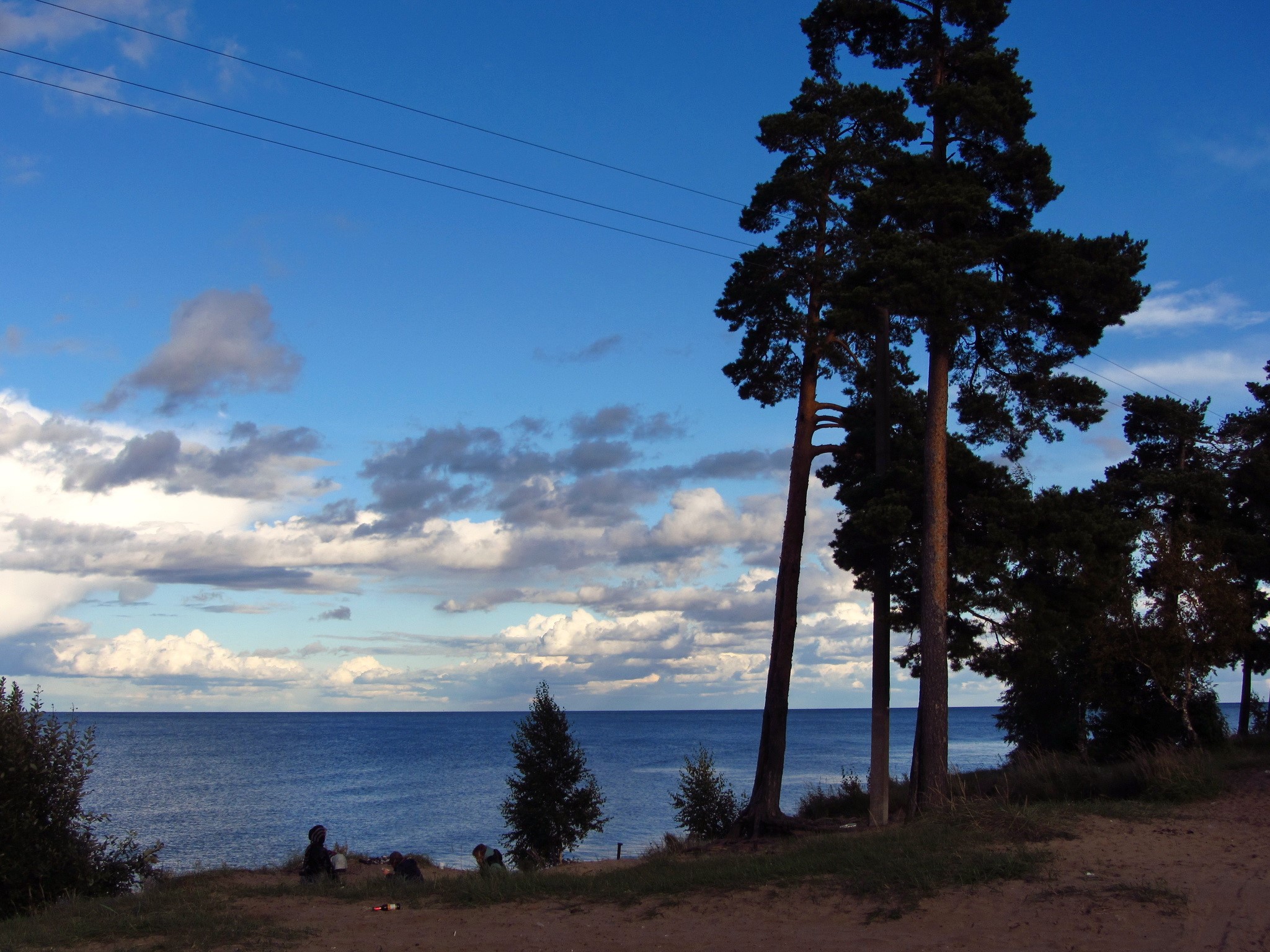 Lake and pine trees under a cloudy sky in Russia HD Wallpaper