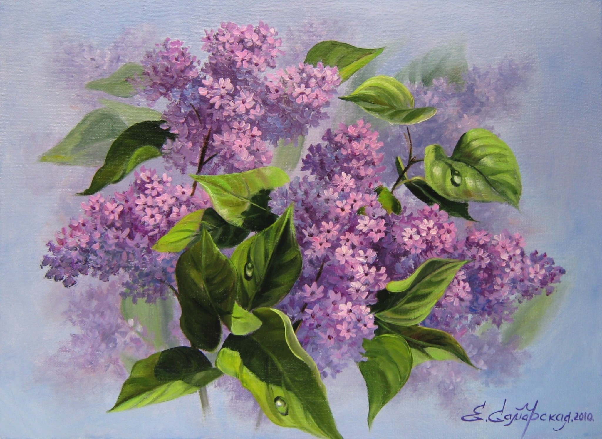 Lilac flowers and leaves by Elena Samara HD Wallpaper