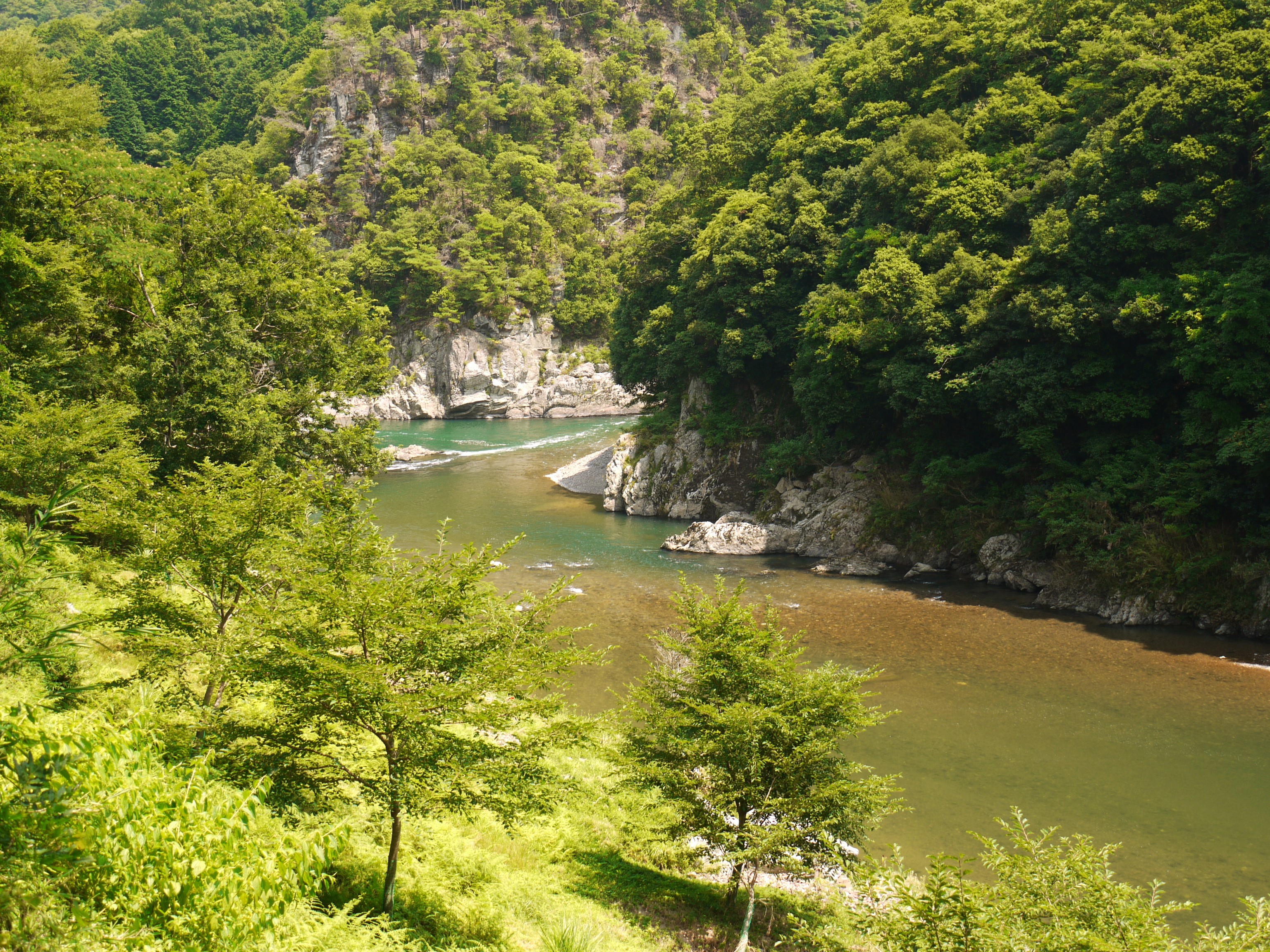 River flowing through a forested mountain valley in Japan HD Wallpaper