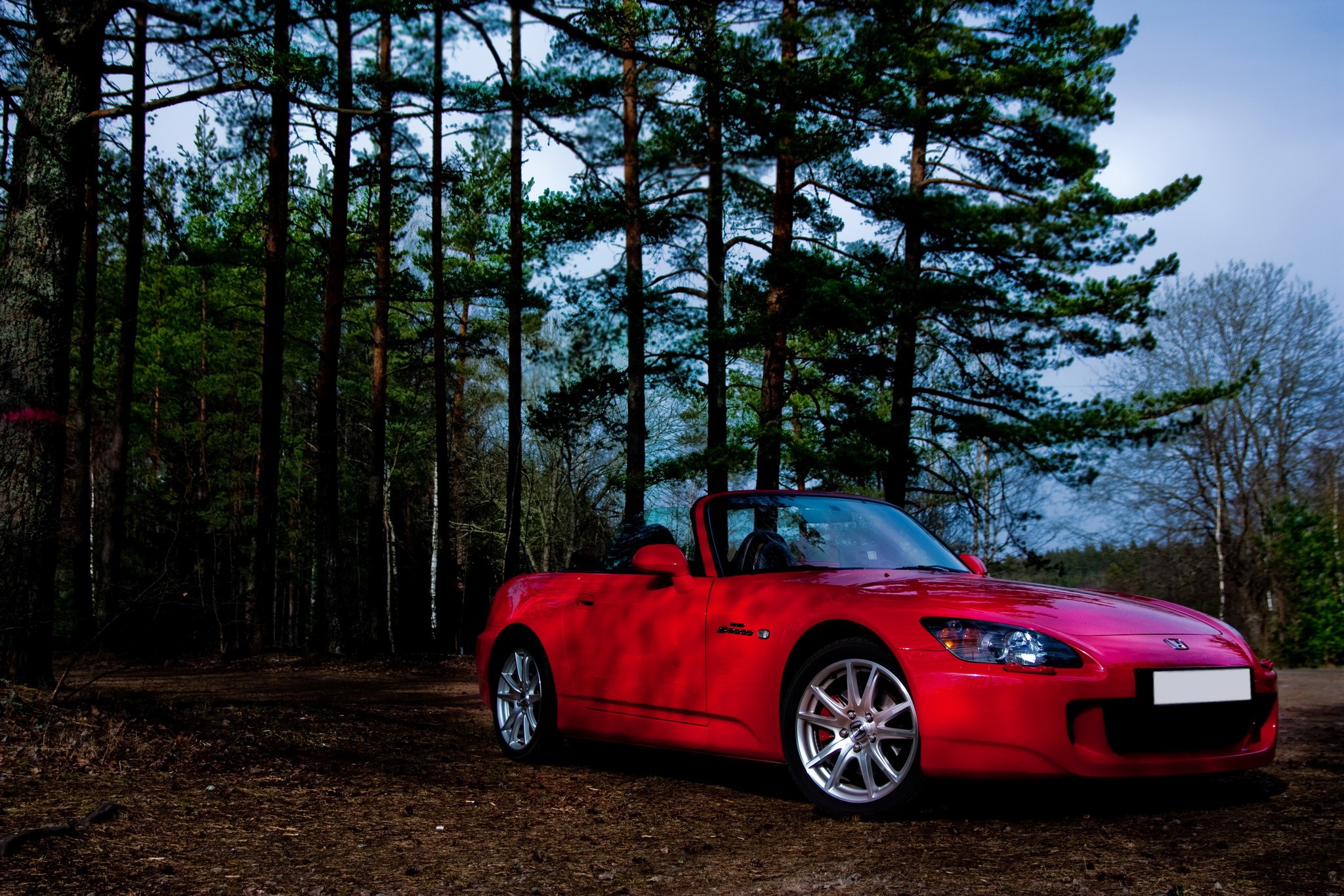 Red Honda S2000 Cabriolet in a Forest HD Wallpaper