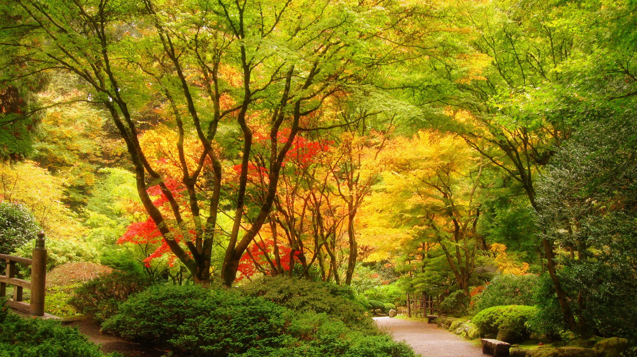 Portland Japanese Gardens in Autumn HD Wallpaper