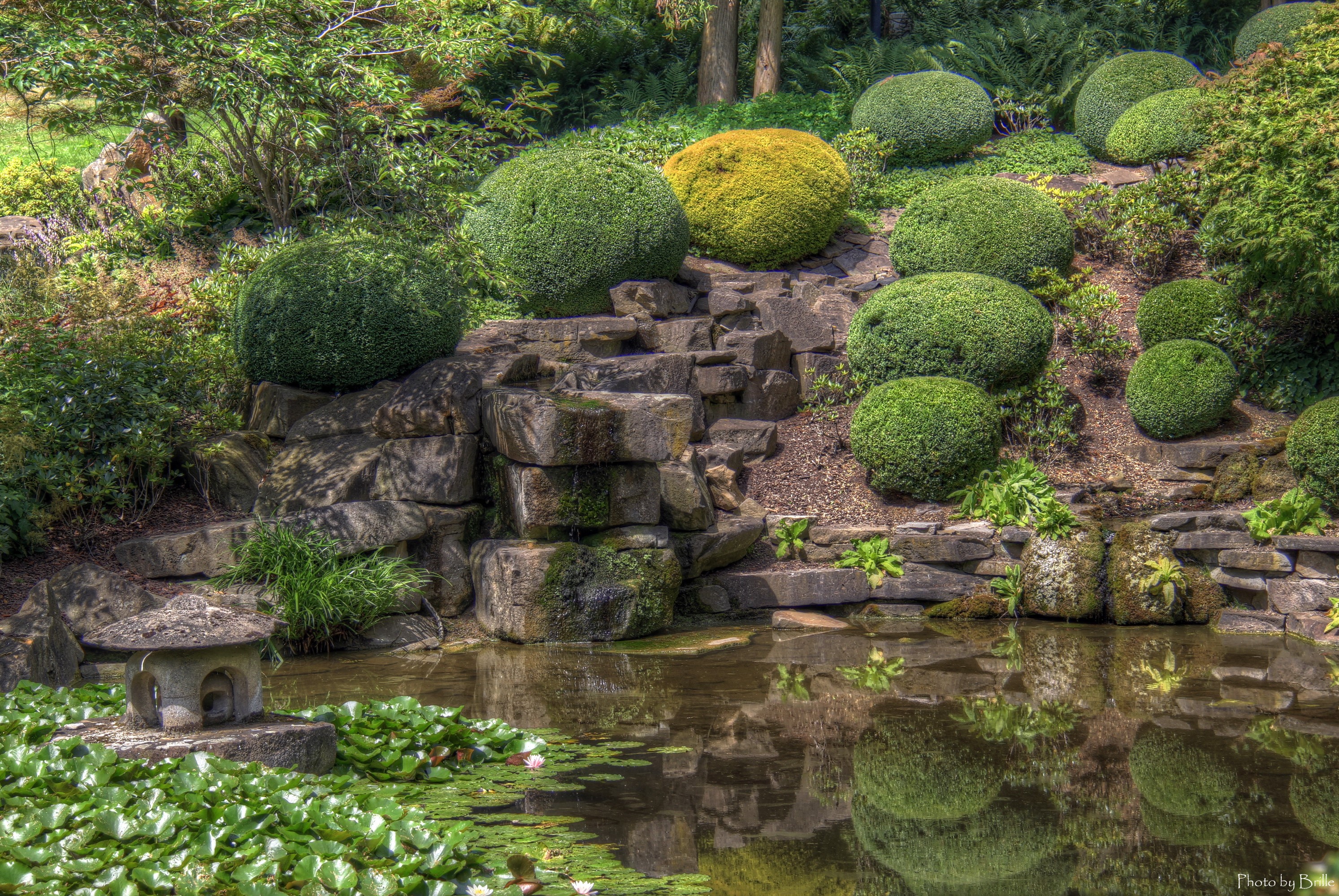Japanese garden with pond, stone lantern, and sculpted shrubs HD Wallpaper
