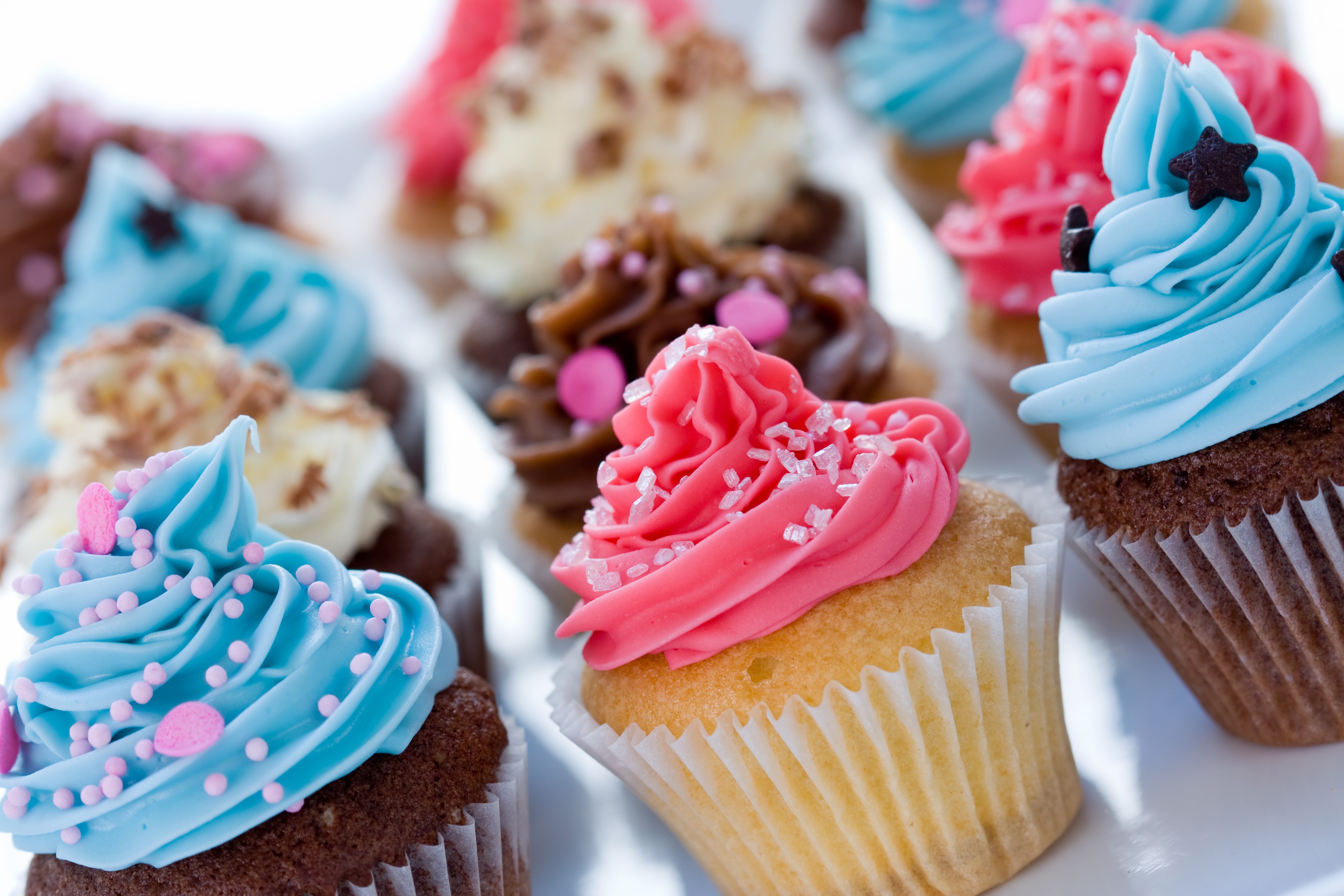 Assortment of colorful cupcakes HD Wallpaper