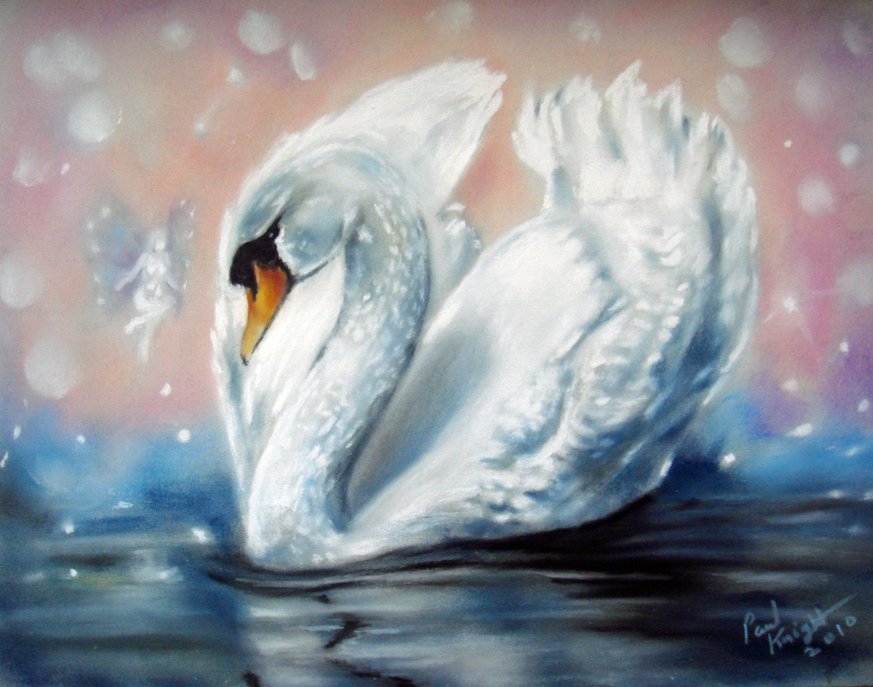 Swan and fairy on water painting HD Wallpaper