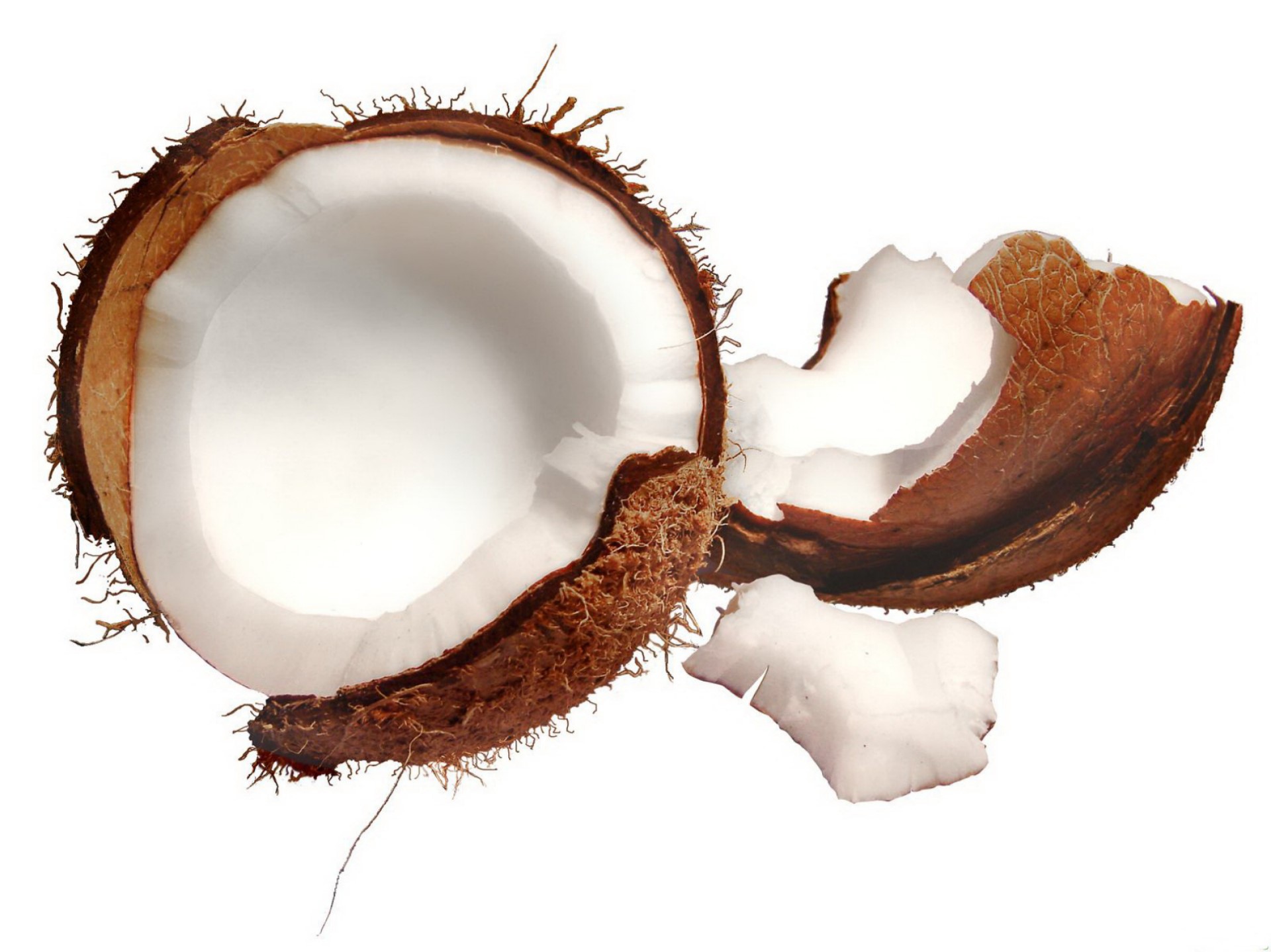 Half coconut with broken pieces HD Wallpaper
