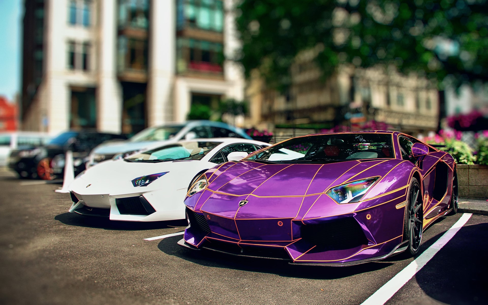 Violet Lamborghini Aventador with LB Performance Kit HD Wallpaper