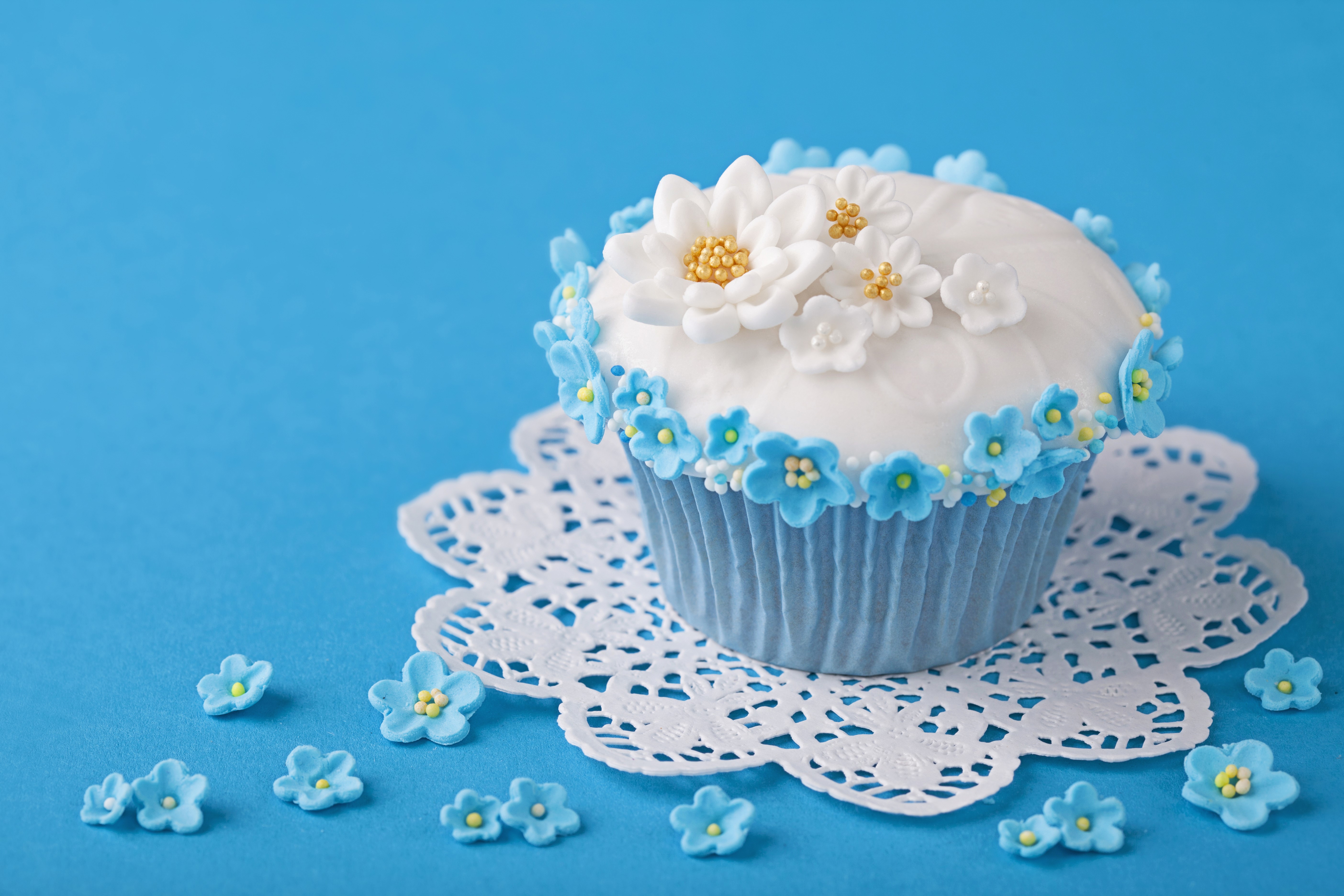 Cupcake with white and blue flowers HD Wallpaper