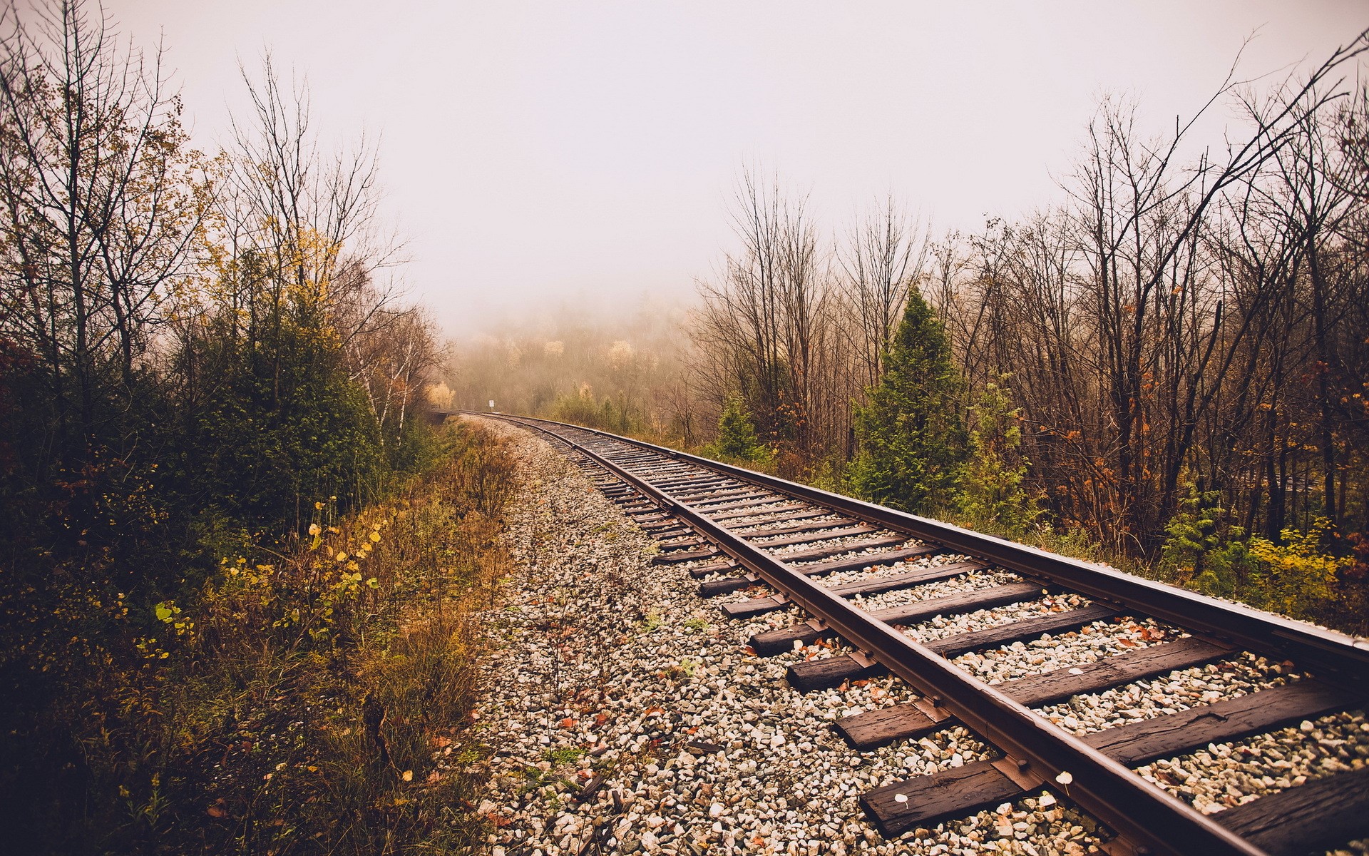 Railroad tracks curving through a misty forest in autumn HD Wallpaper