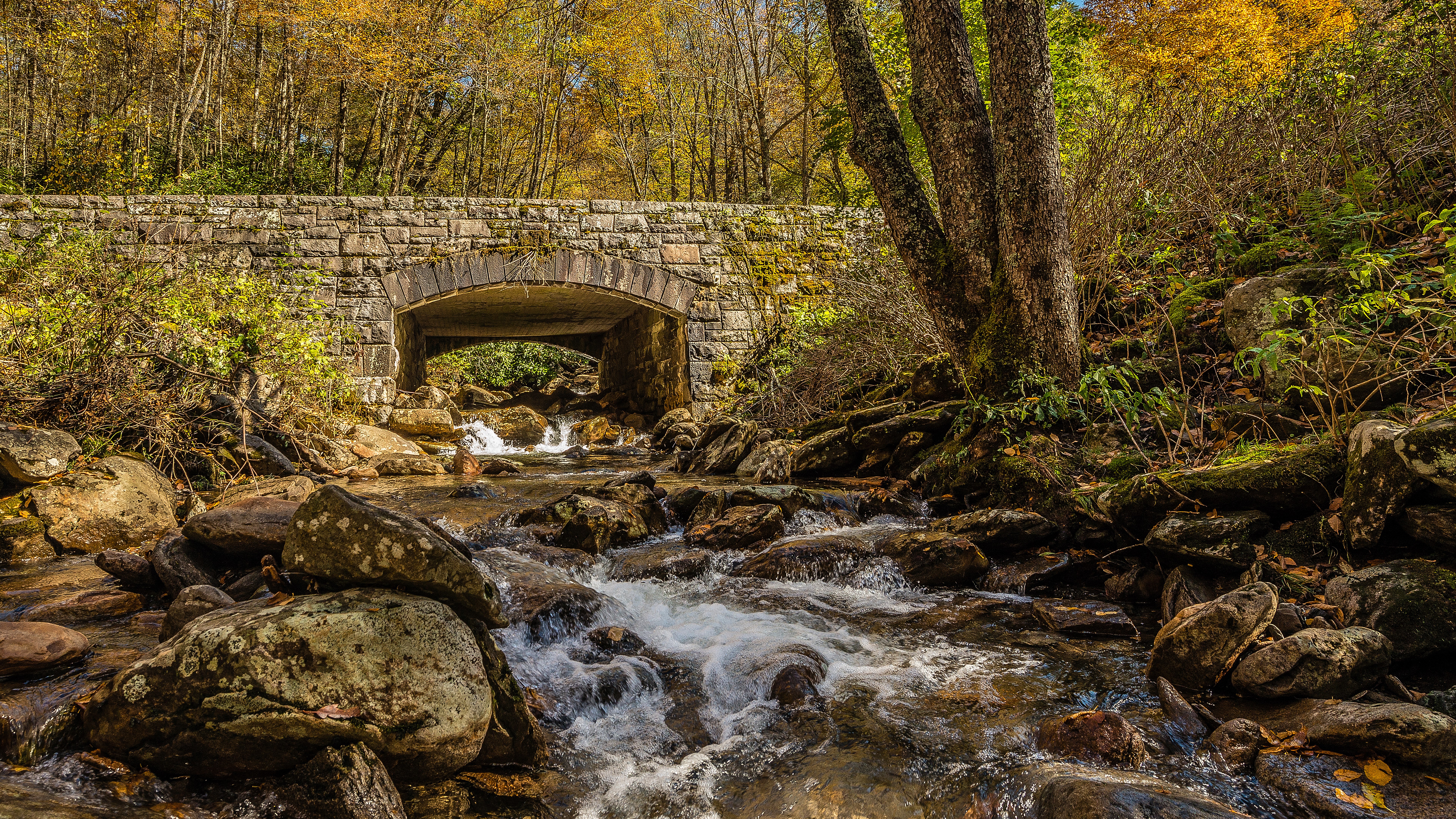 Stone bridge over a rocky stream in autumn forest HD Wallpaper